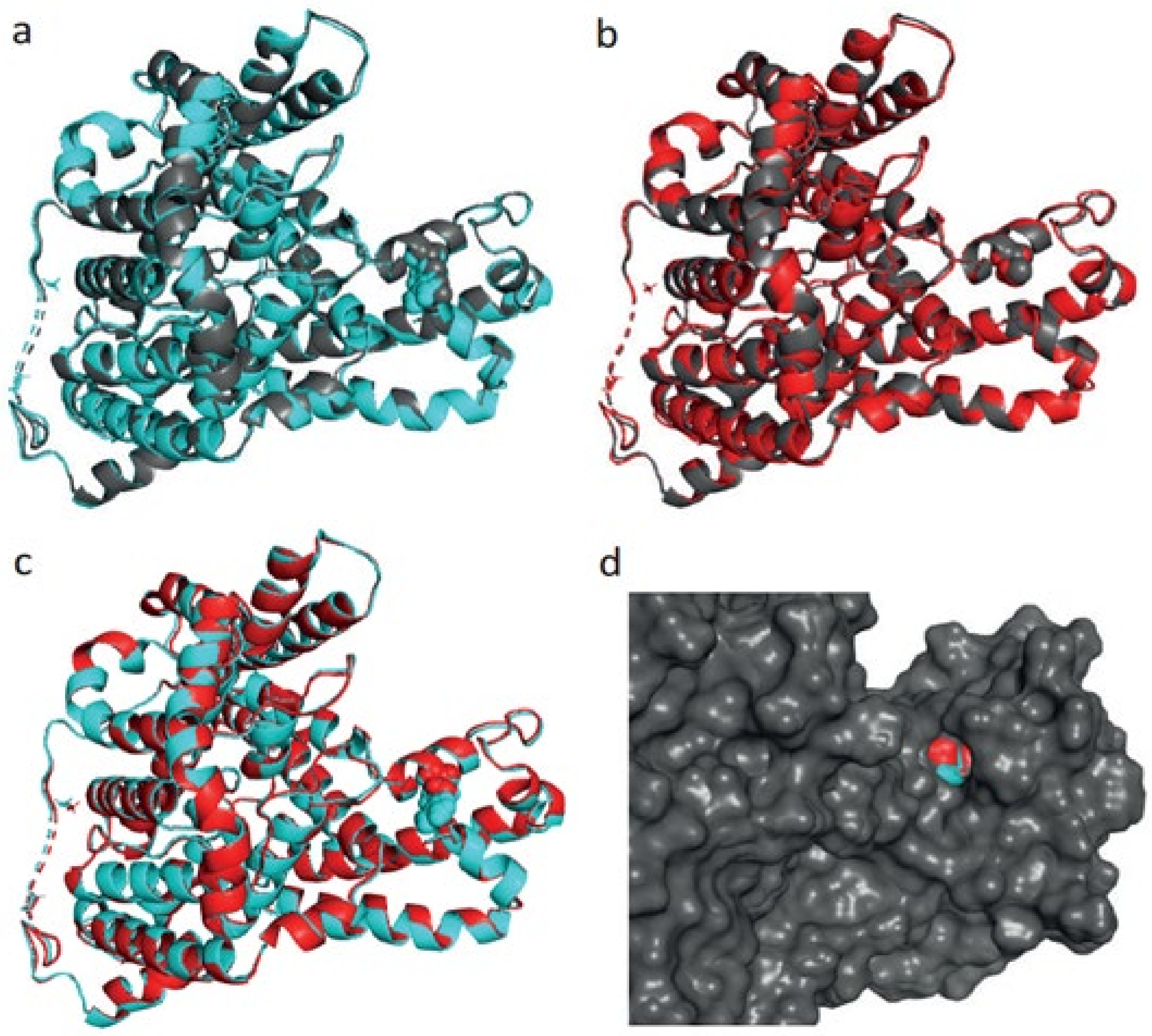 Ijms 23 01725 g006 550