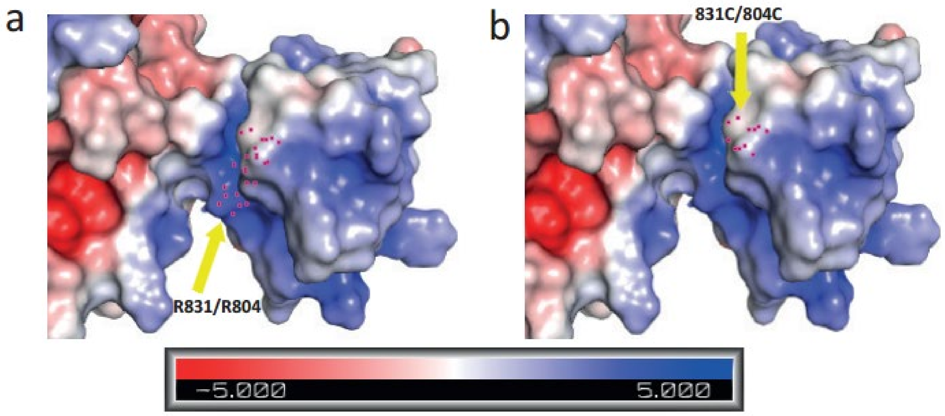 Ijms 23 01725 g008 550