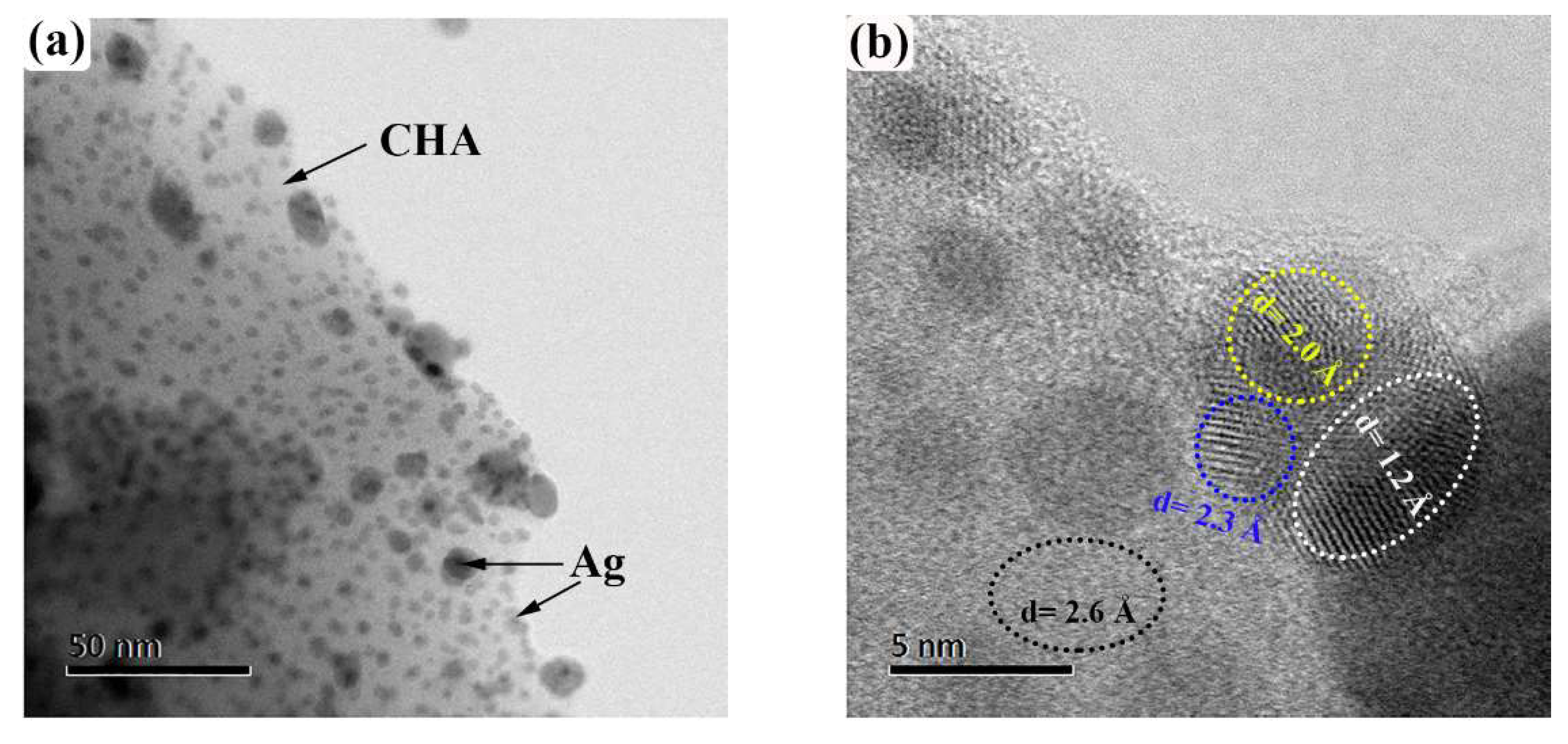 Ijms 23 01730 g004a Ijms 23 01730 g004a