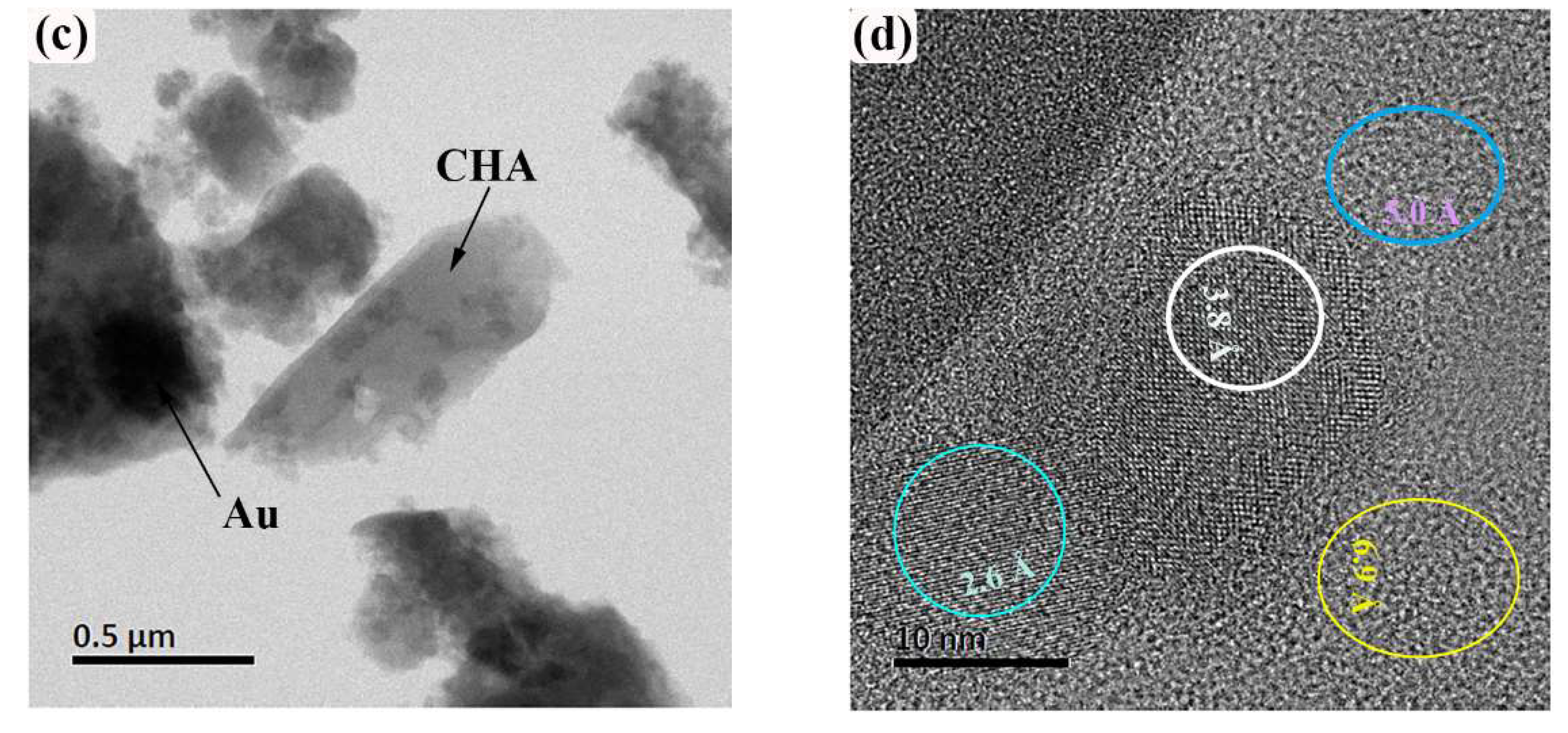 Ijms 23 01730 g004b Ijms 23 01730 g004b