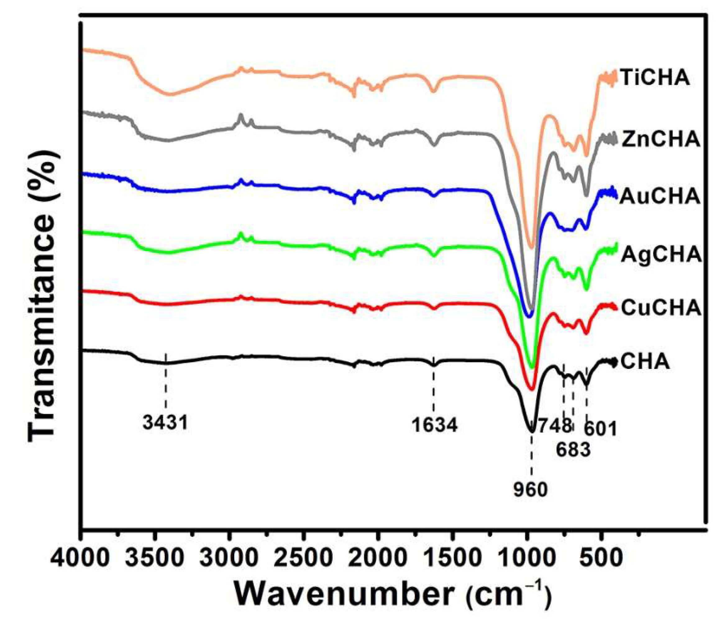 Ijms 23 01730 g005 Ijms 23 01730 g005