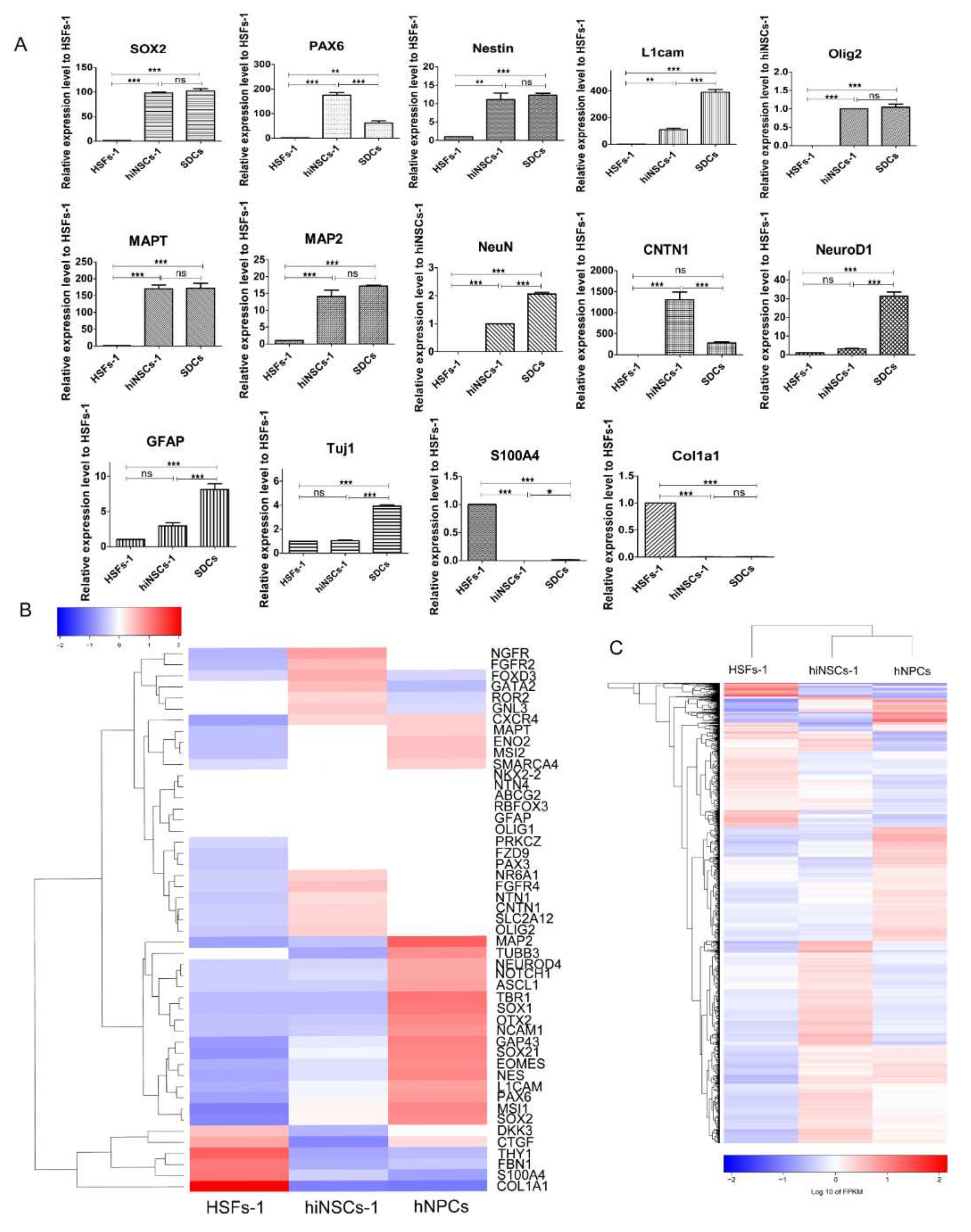 Ijms 23 01740 g002 550
