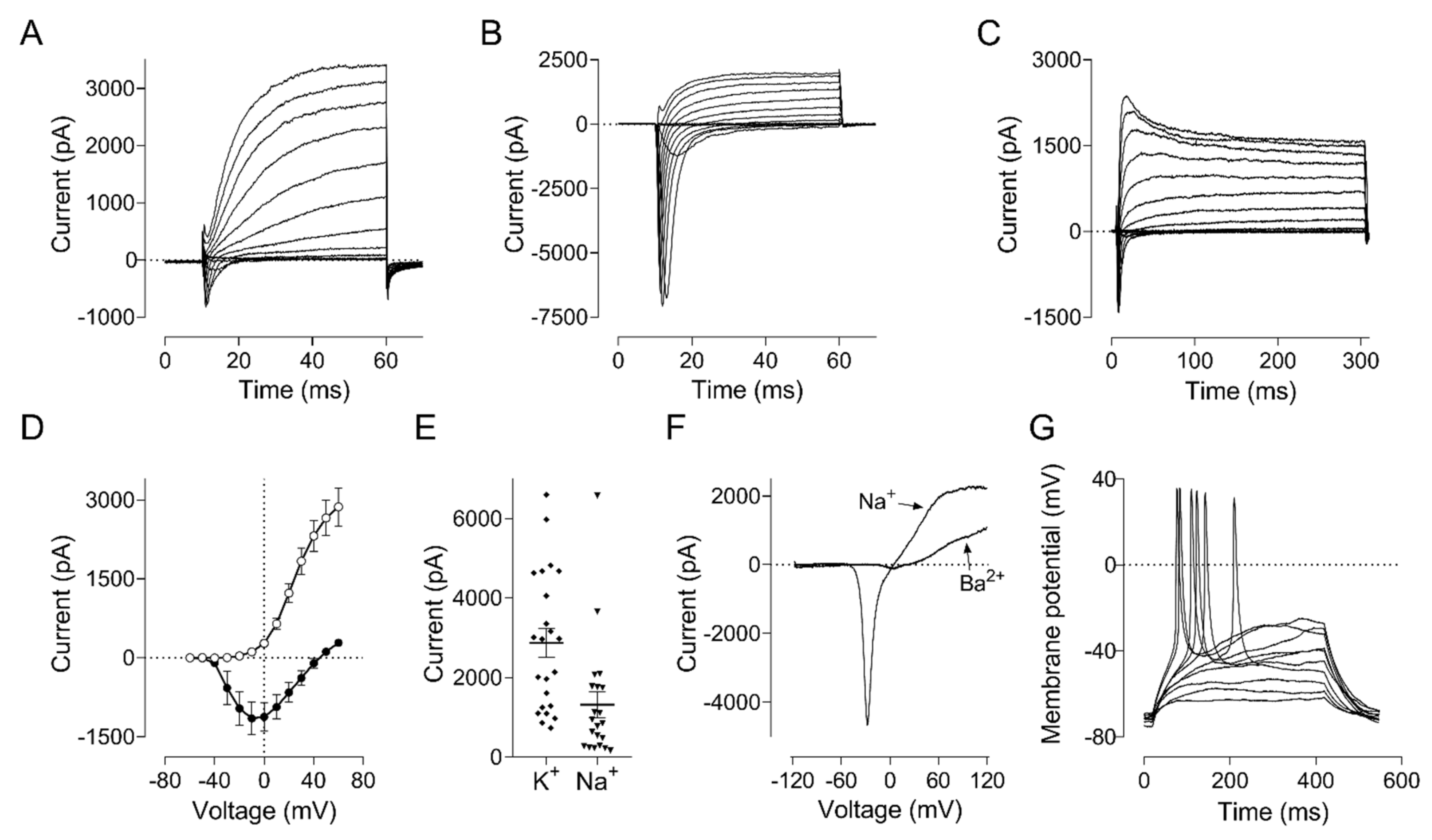Ijms 23 01740 g004 550