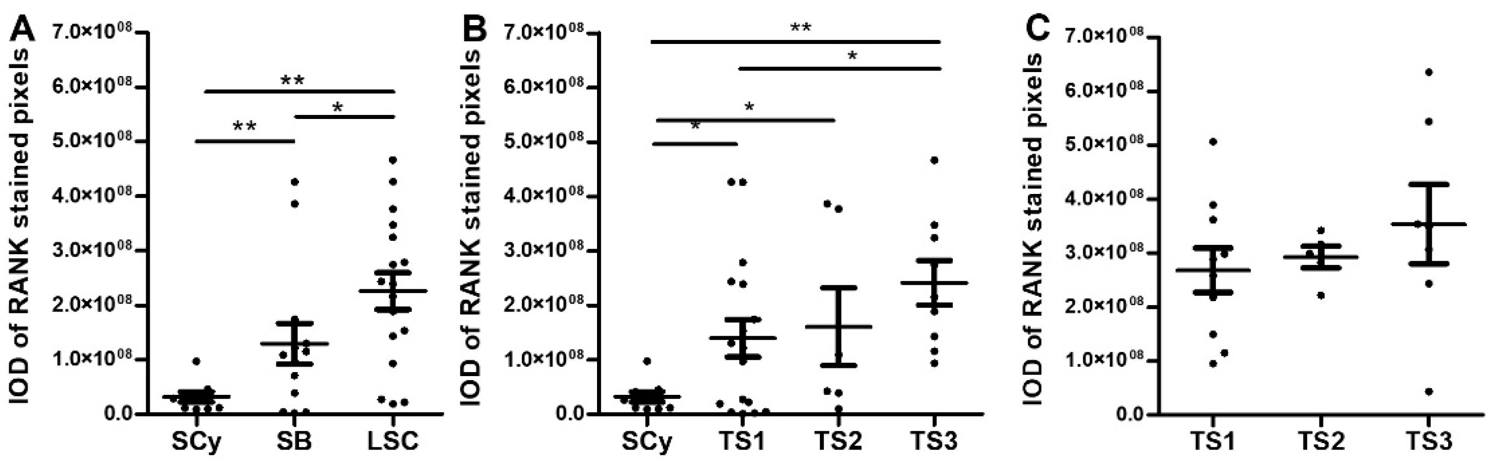 Ijms 23 01742 g002 550