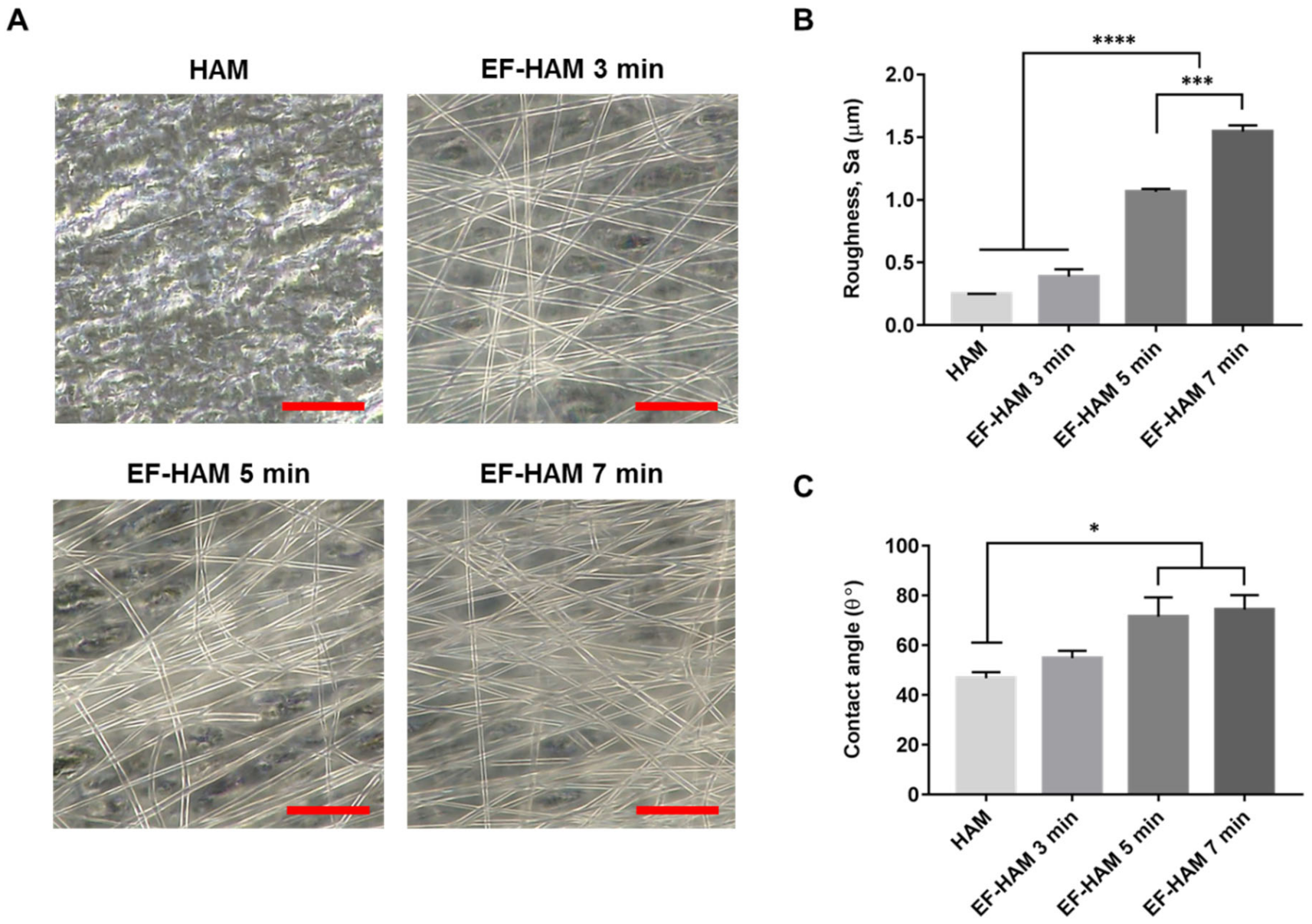 Ijms 23 01743 g001 550