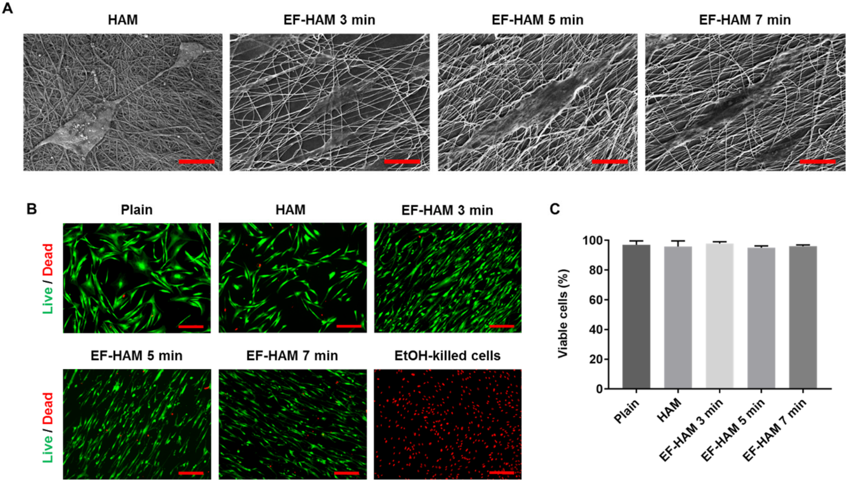 Ijms 23 01743 g002 550