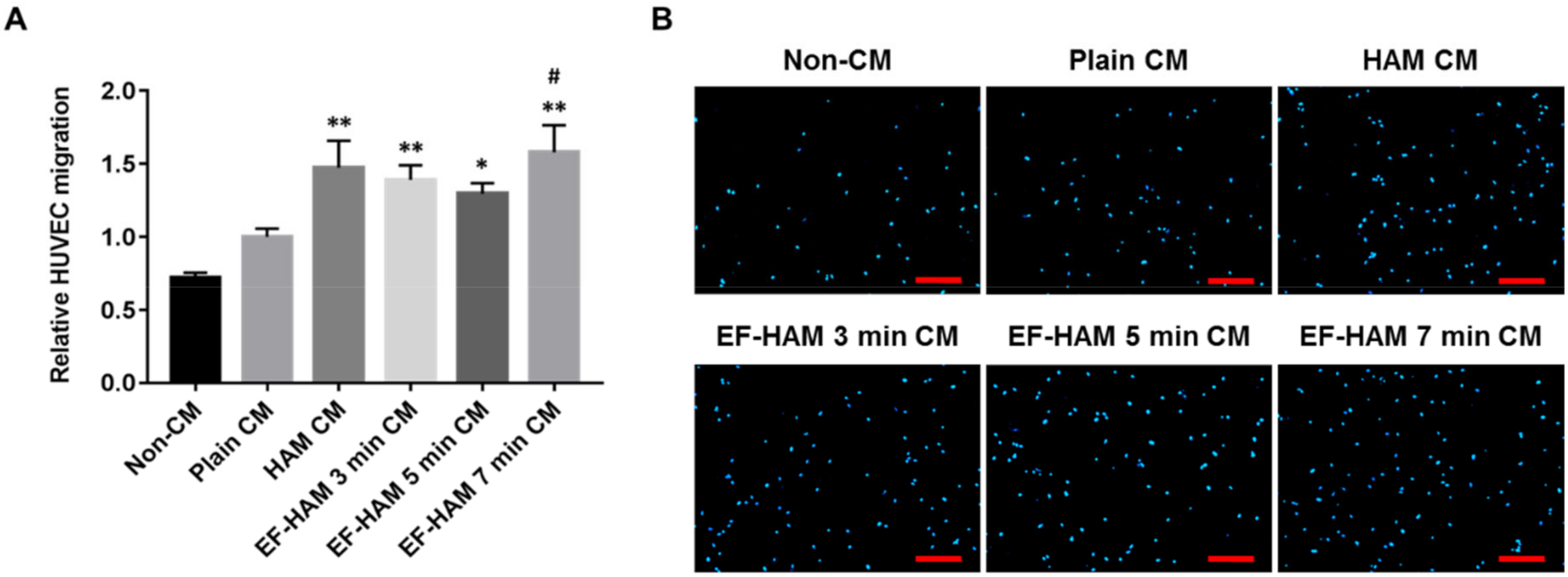 Ijms 23 01743 g005 550