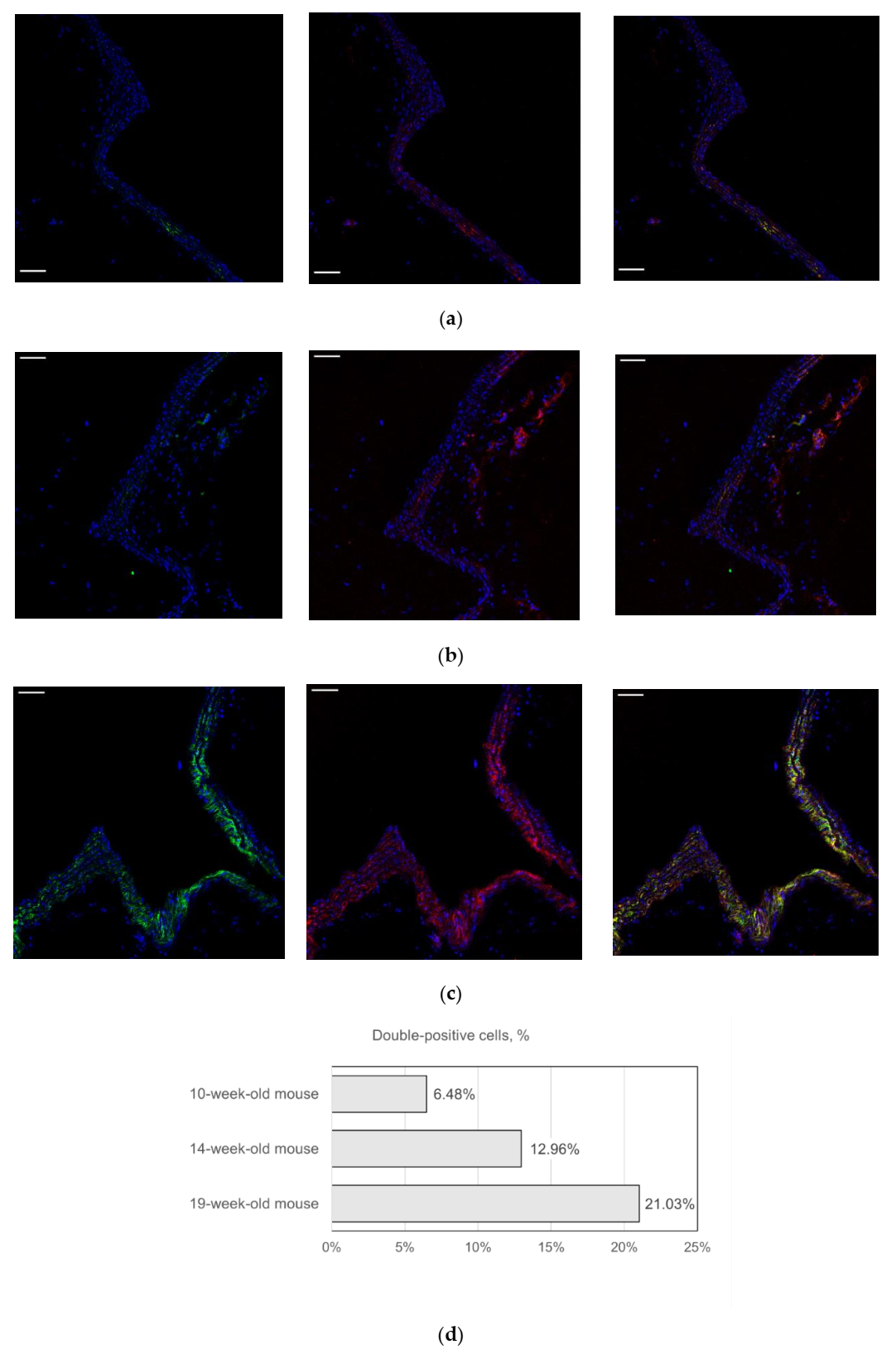 Ijms 23 01744 g002 550