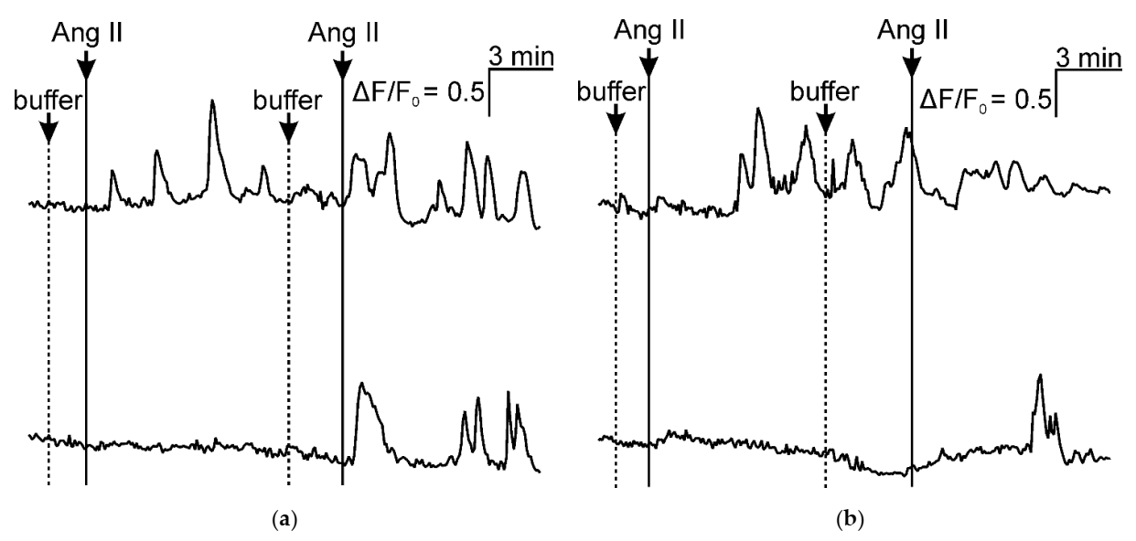 Ijms 23 01744 g012 550