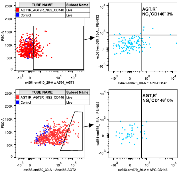 Ijms 23 01744 g0a2 550