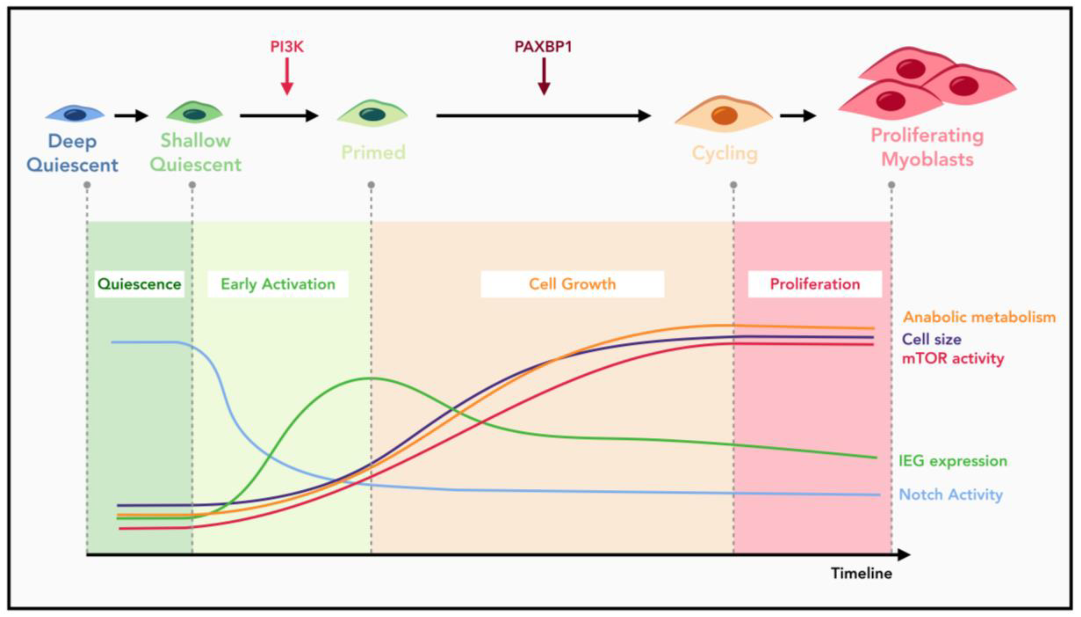 Ijms 23 01748 g002 550