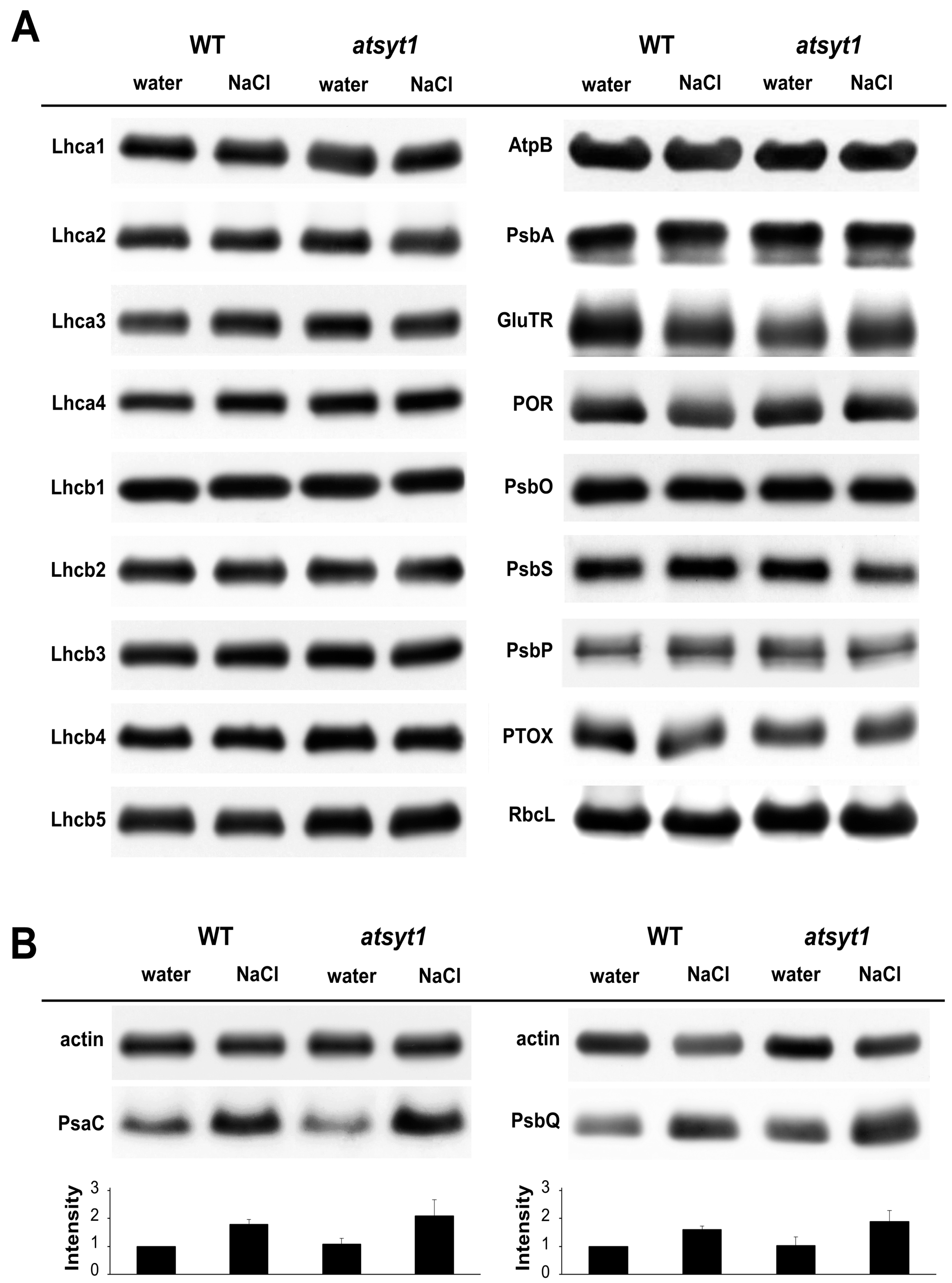Ijms 23 01751 g003 550