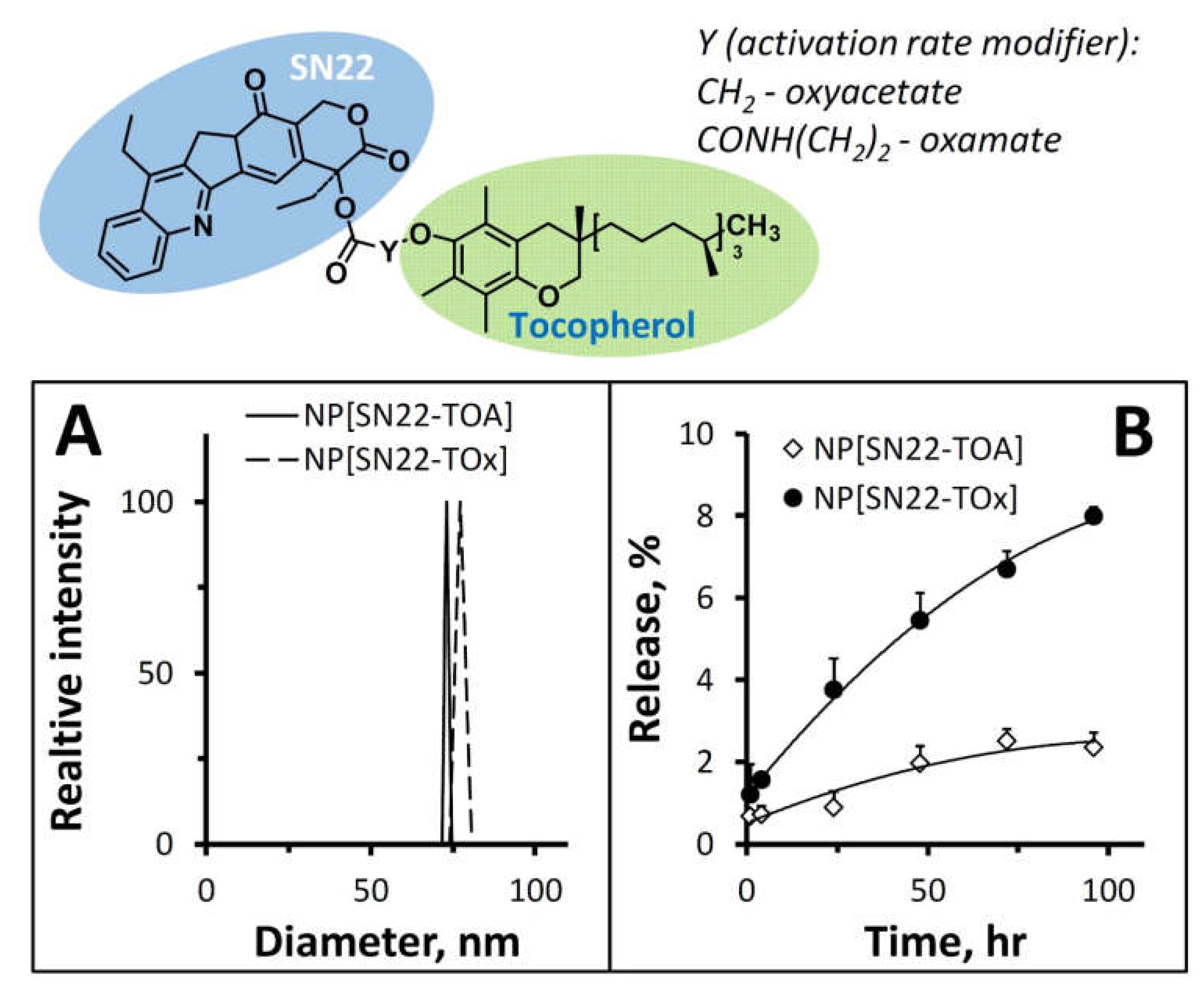 Ijms 23 01752 g001 Ijms 23 01752 g001