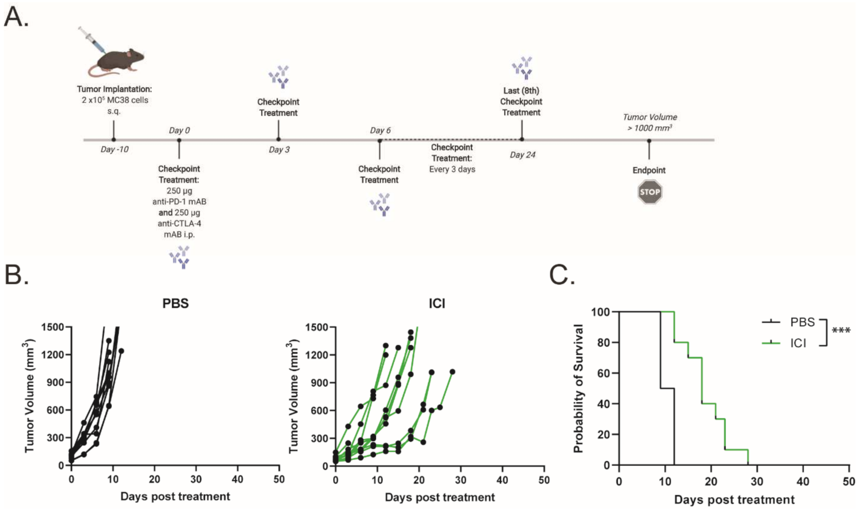 Ijms 23 01754 g001 550
