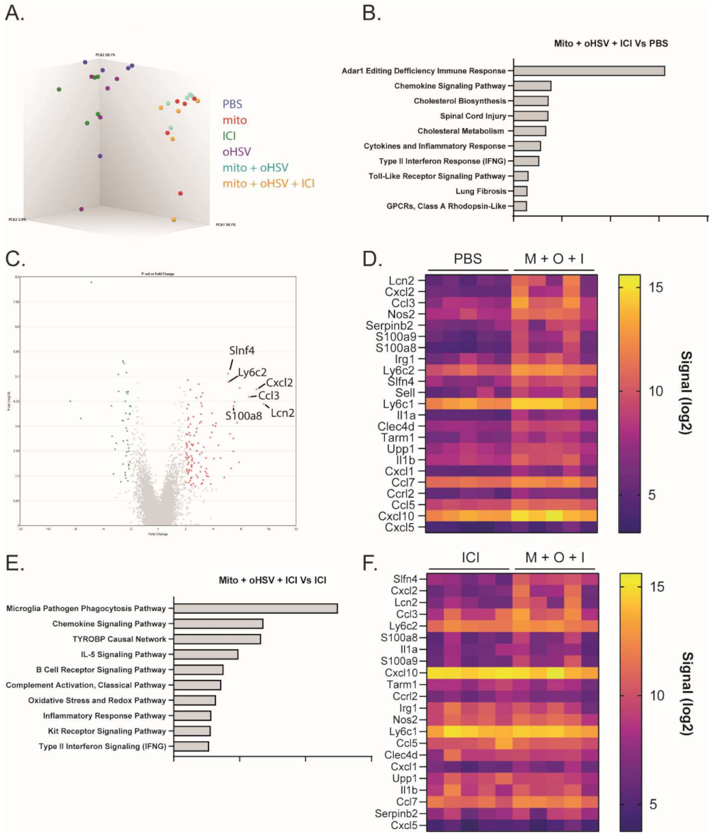 Ijms 23 01754 g004 550