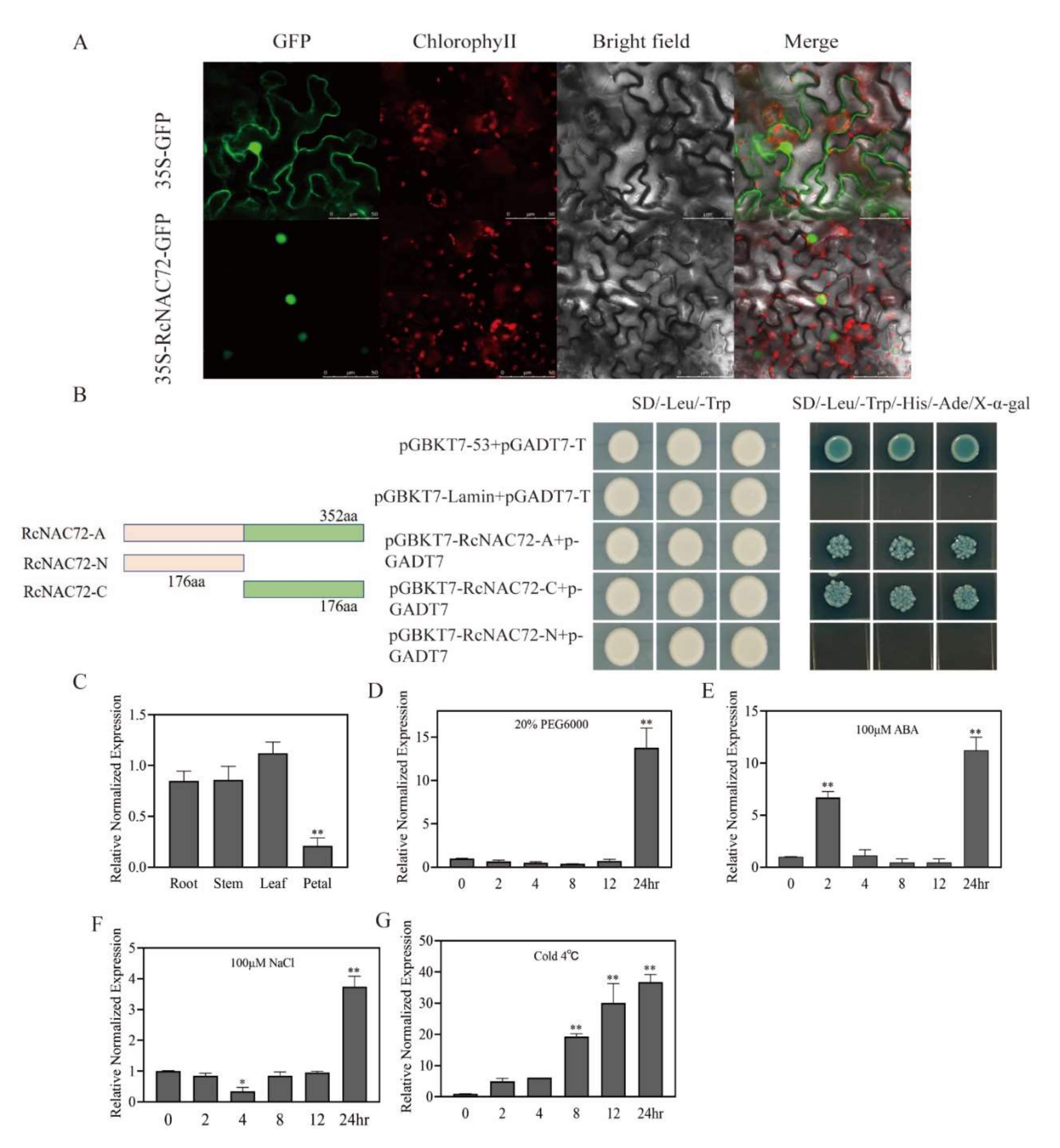 Ijms 23 01755 g001 550
