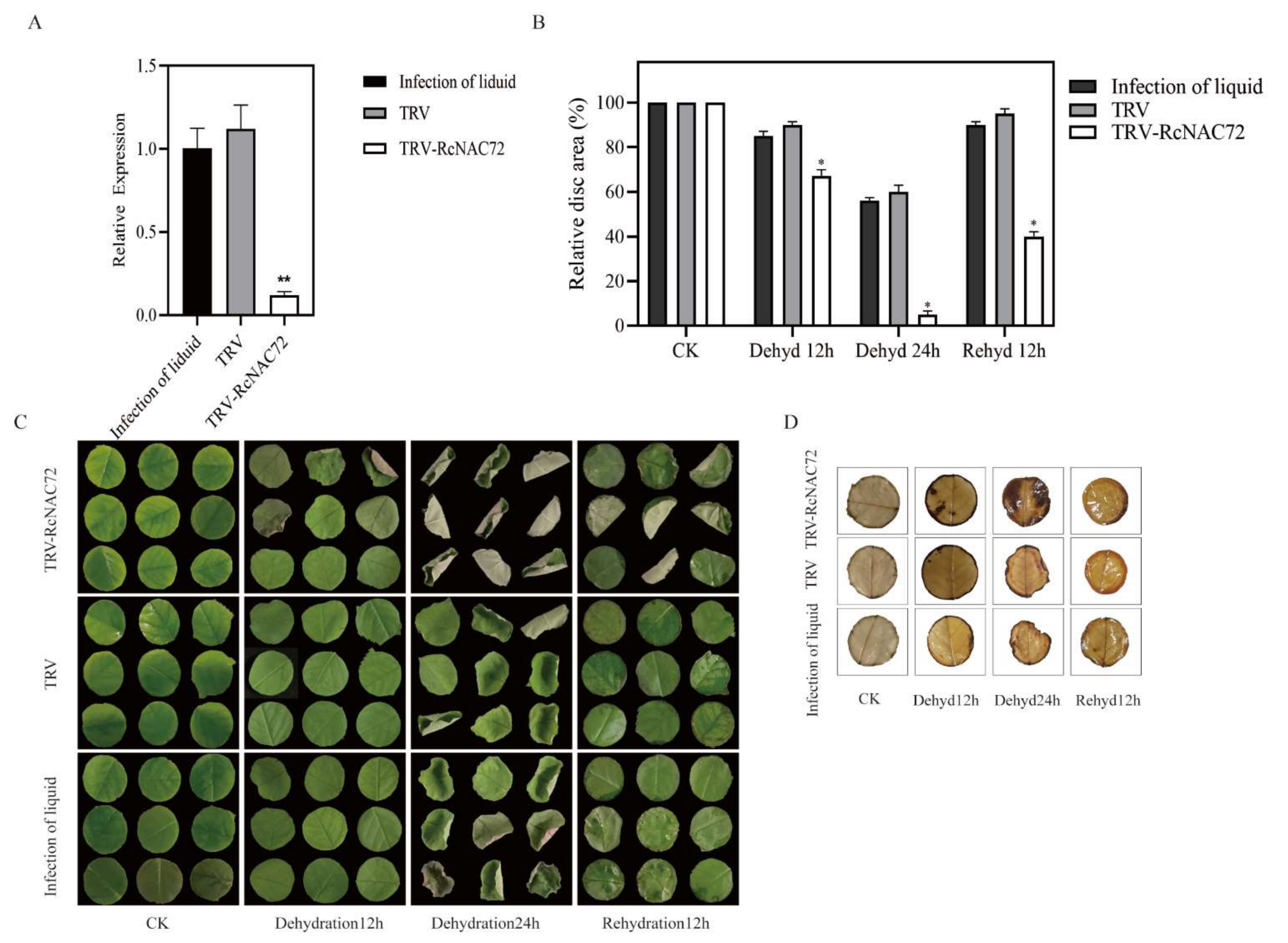 Ijms 23 01755 g003 550