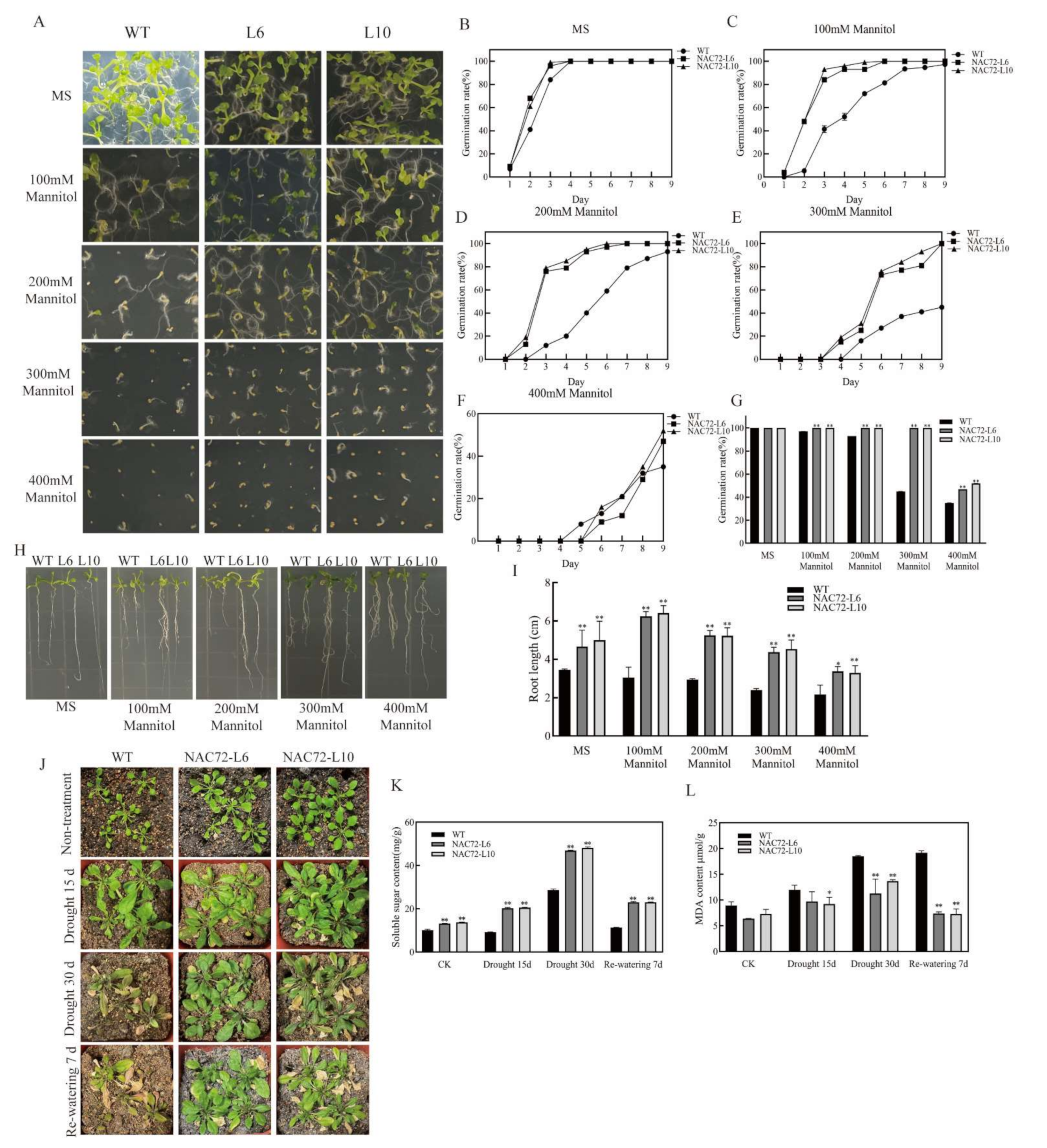 Ijms 23 01755 g004 550