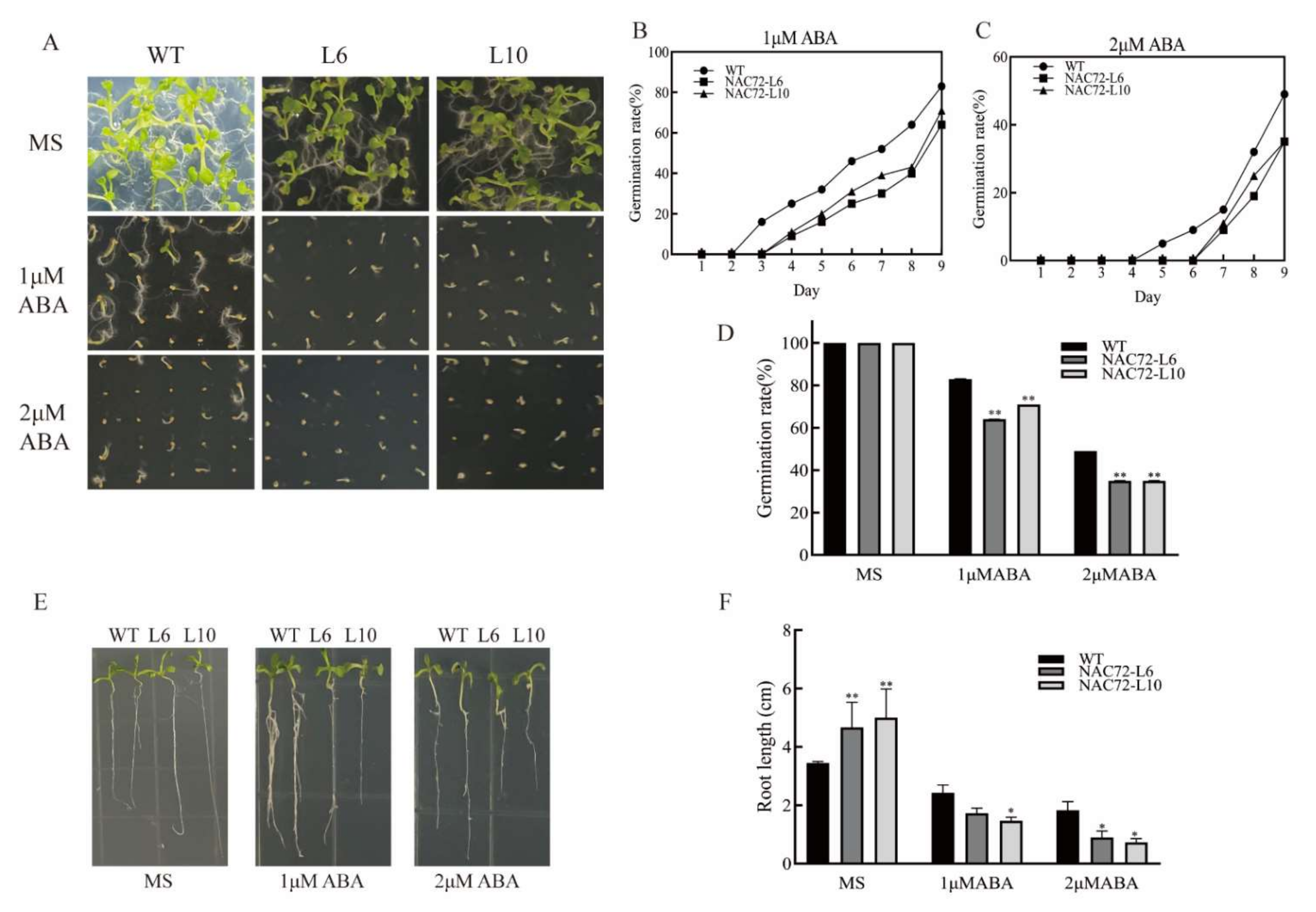 Ijms 23 01755 g005 550