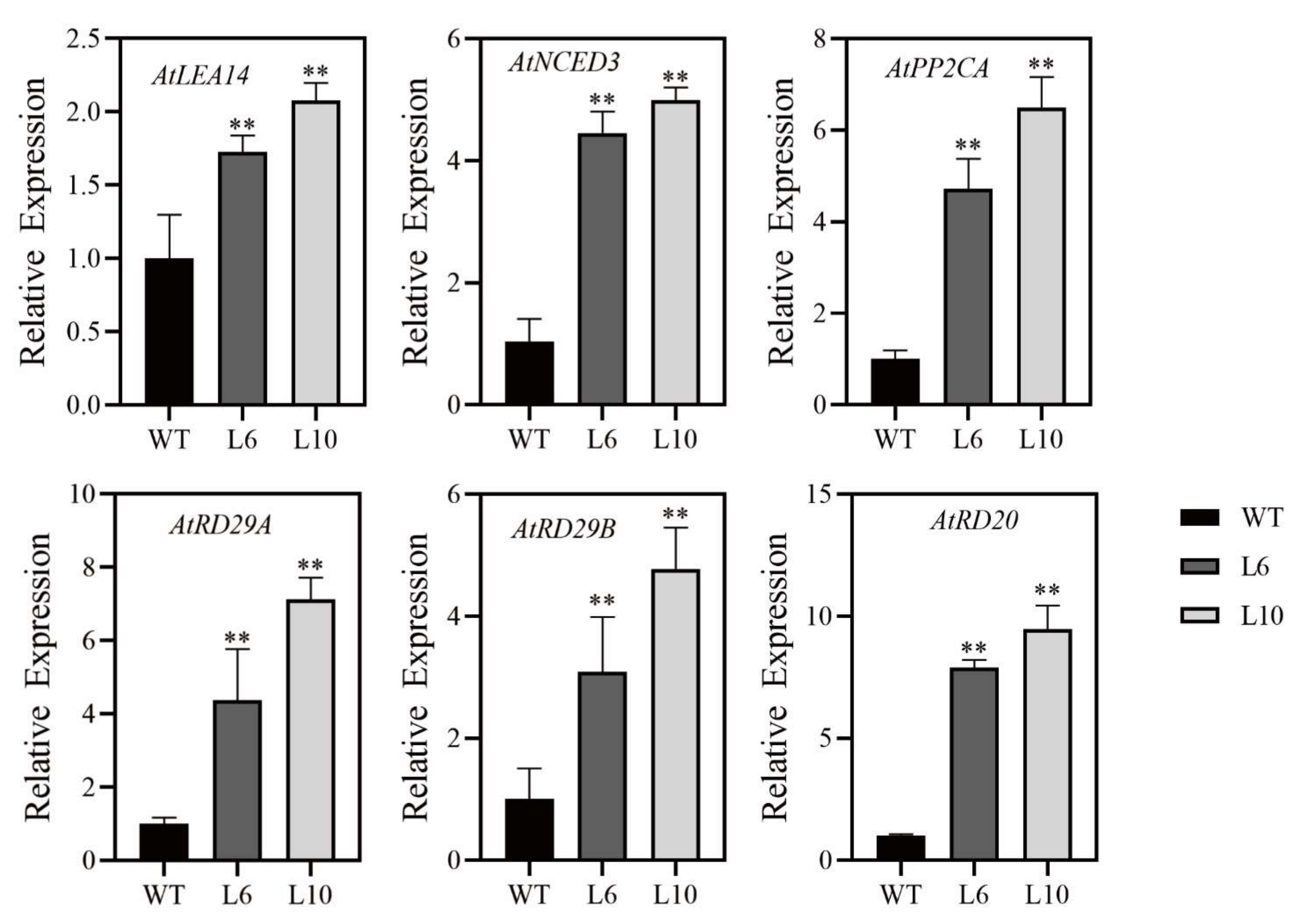 Ijms 23 01755 g006 550