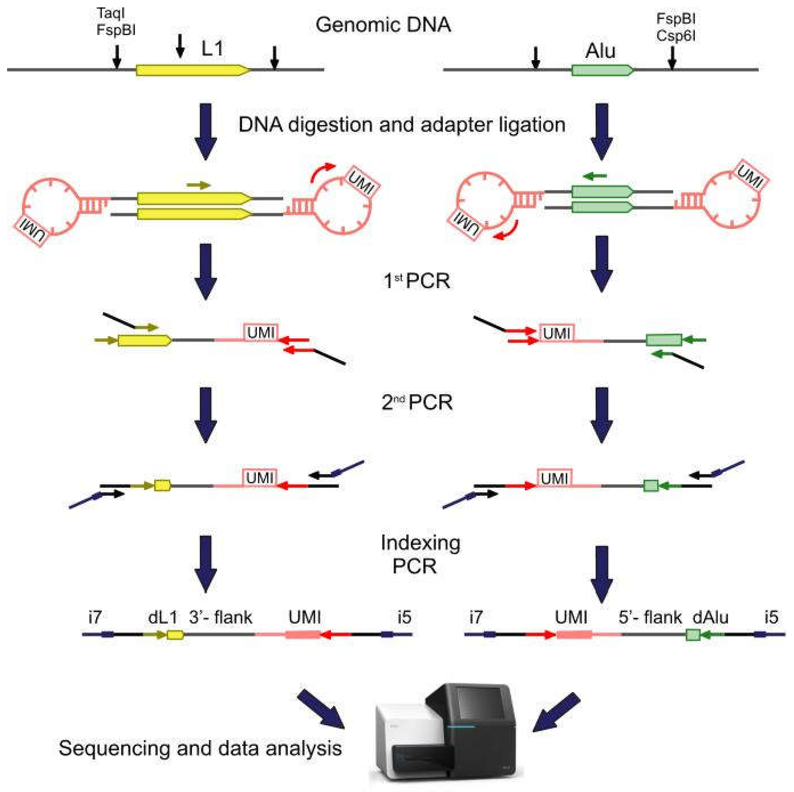 Ijms 23 01756 g001 Ijms 23 01756 g001