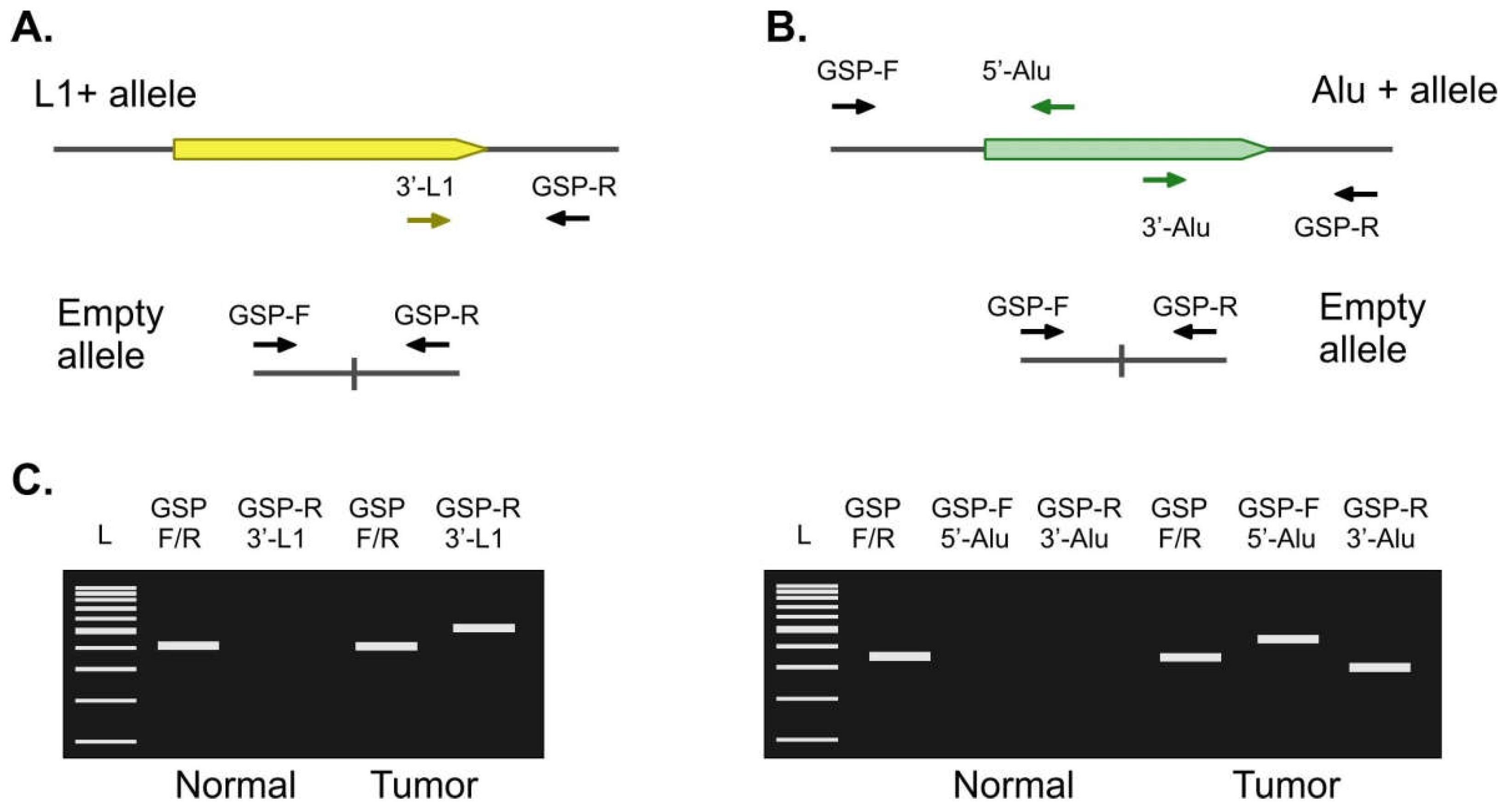 Ijms 23 01756 g002 Ijms 23 01756 g002