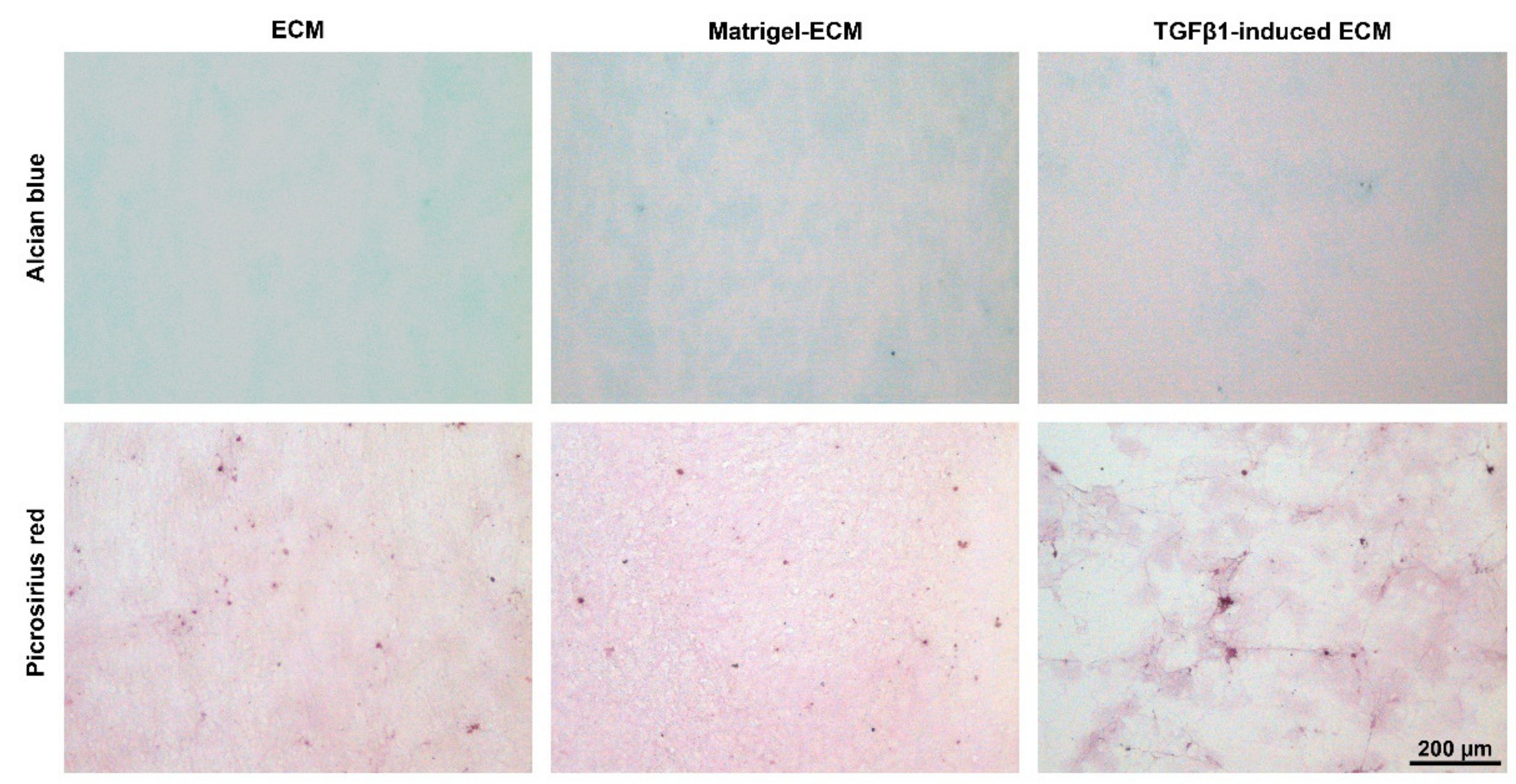 Ijms 23 01758 g001 550