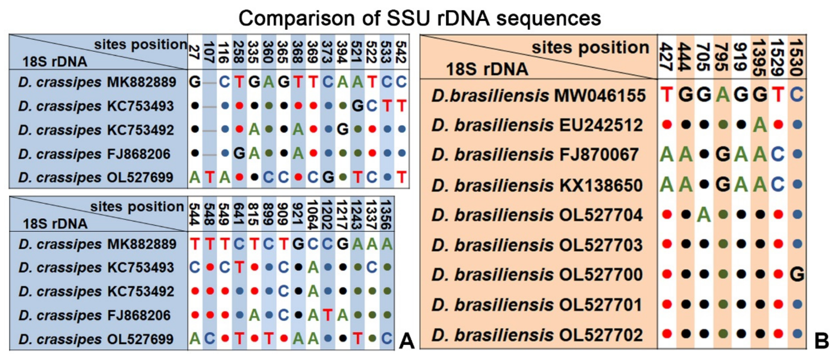 Ijms 23 01764 g005 550