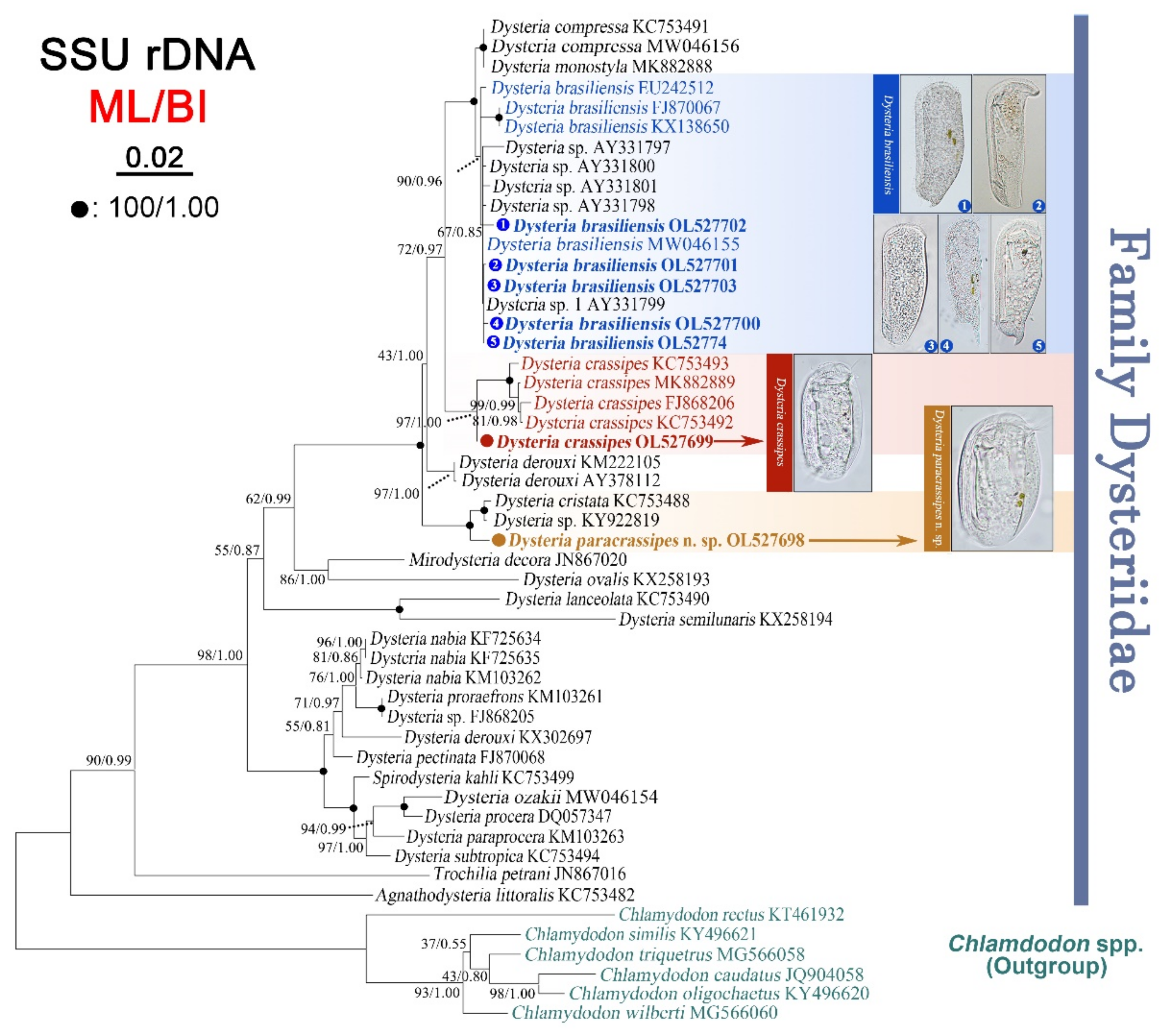 Ijms 23 01764 g006 550