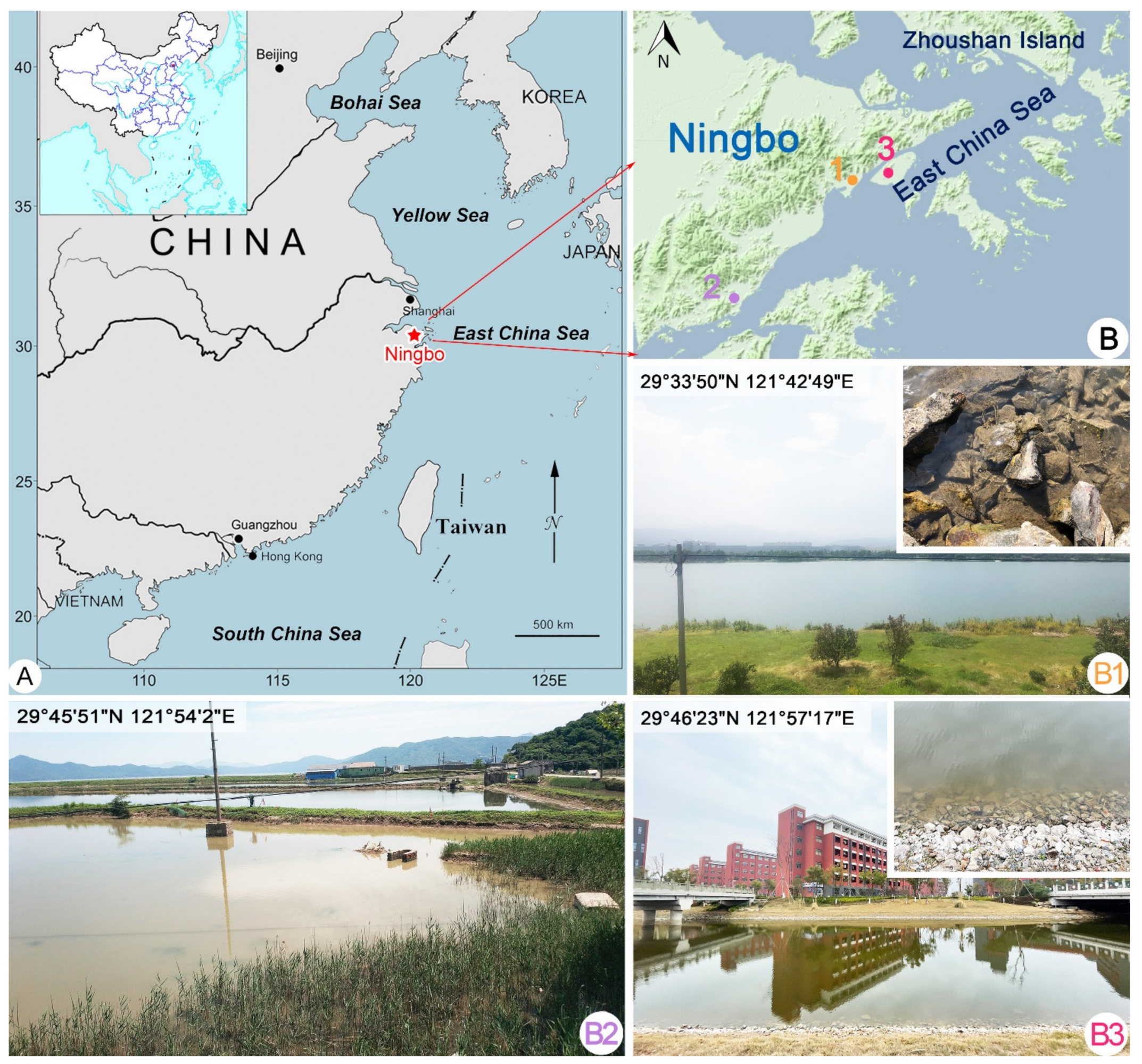 Ijms 23 01764 g007 550