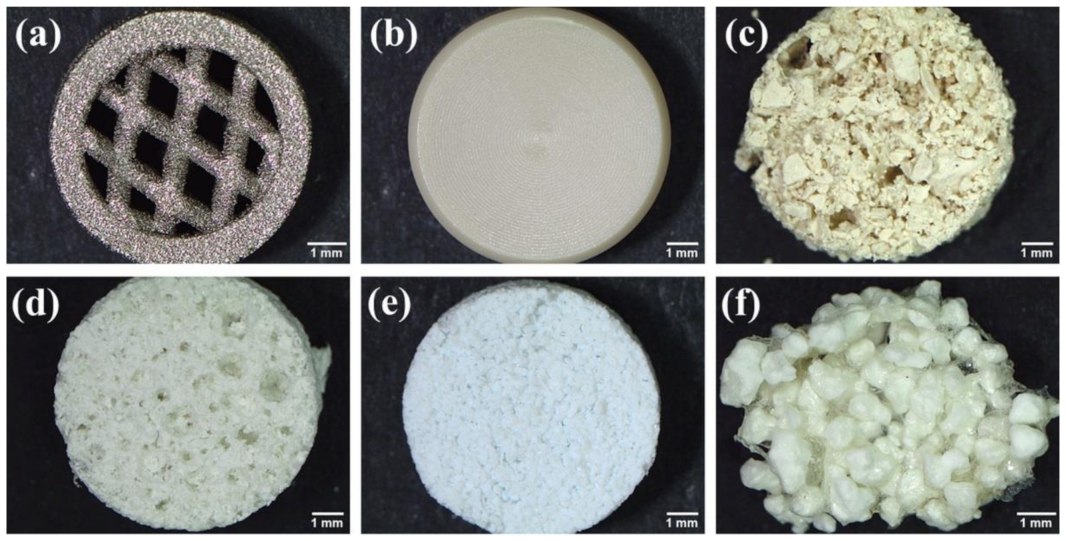 Ijms 23 01765 g003 550