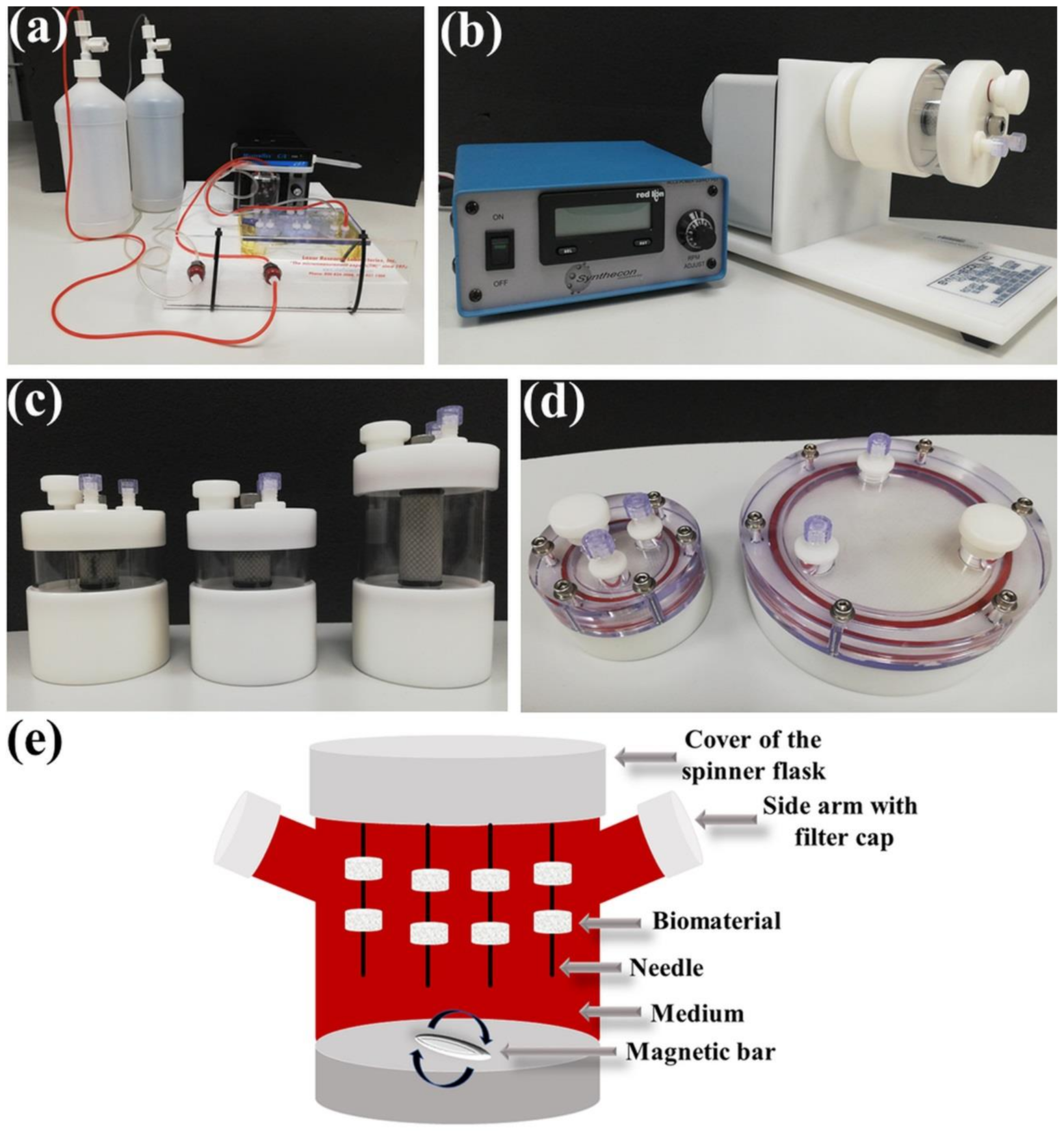 Ijms 23 01765 g004 550