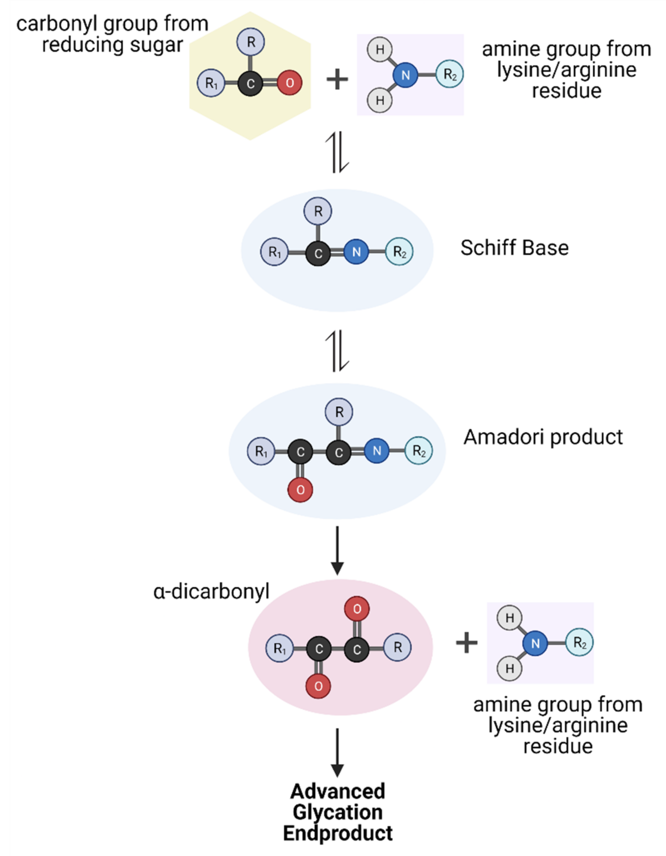 Ijms 23 01766 g001 Ijms 23 01766 g001