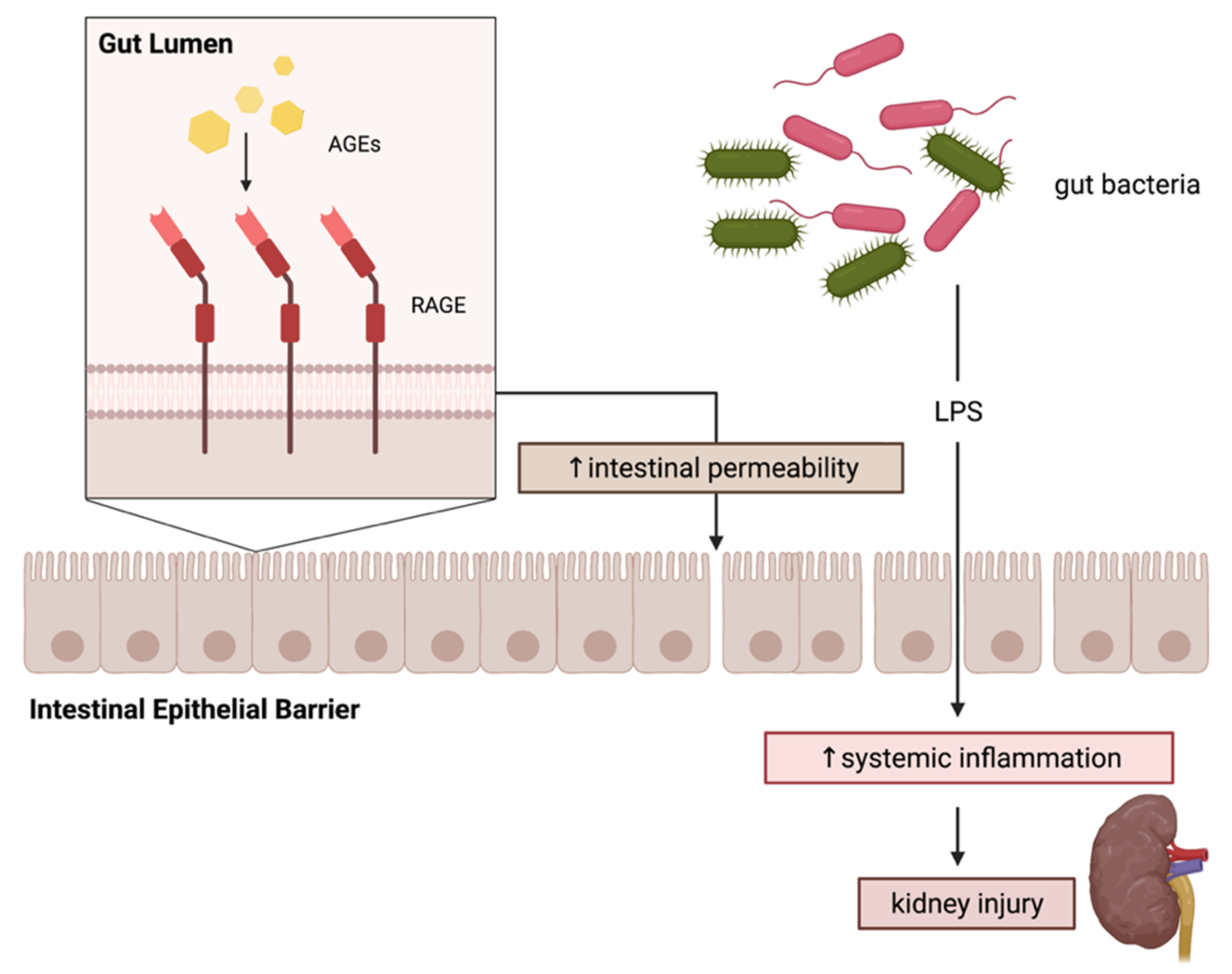 Ijms 23 01766 g005 Ijms 23 01766 g005