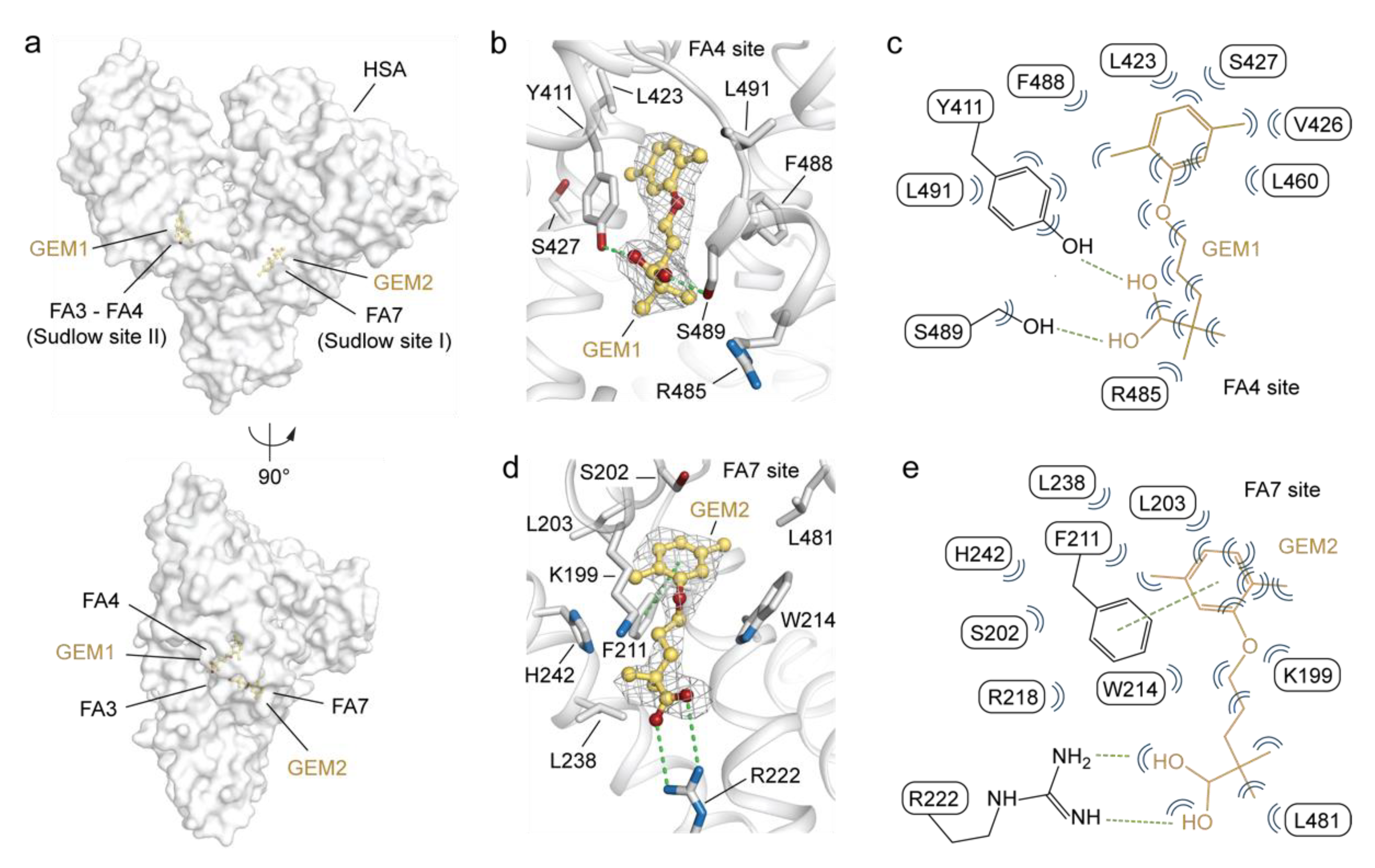 Ijms 23 01769 g002 550
