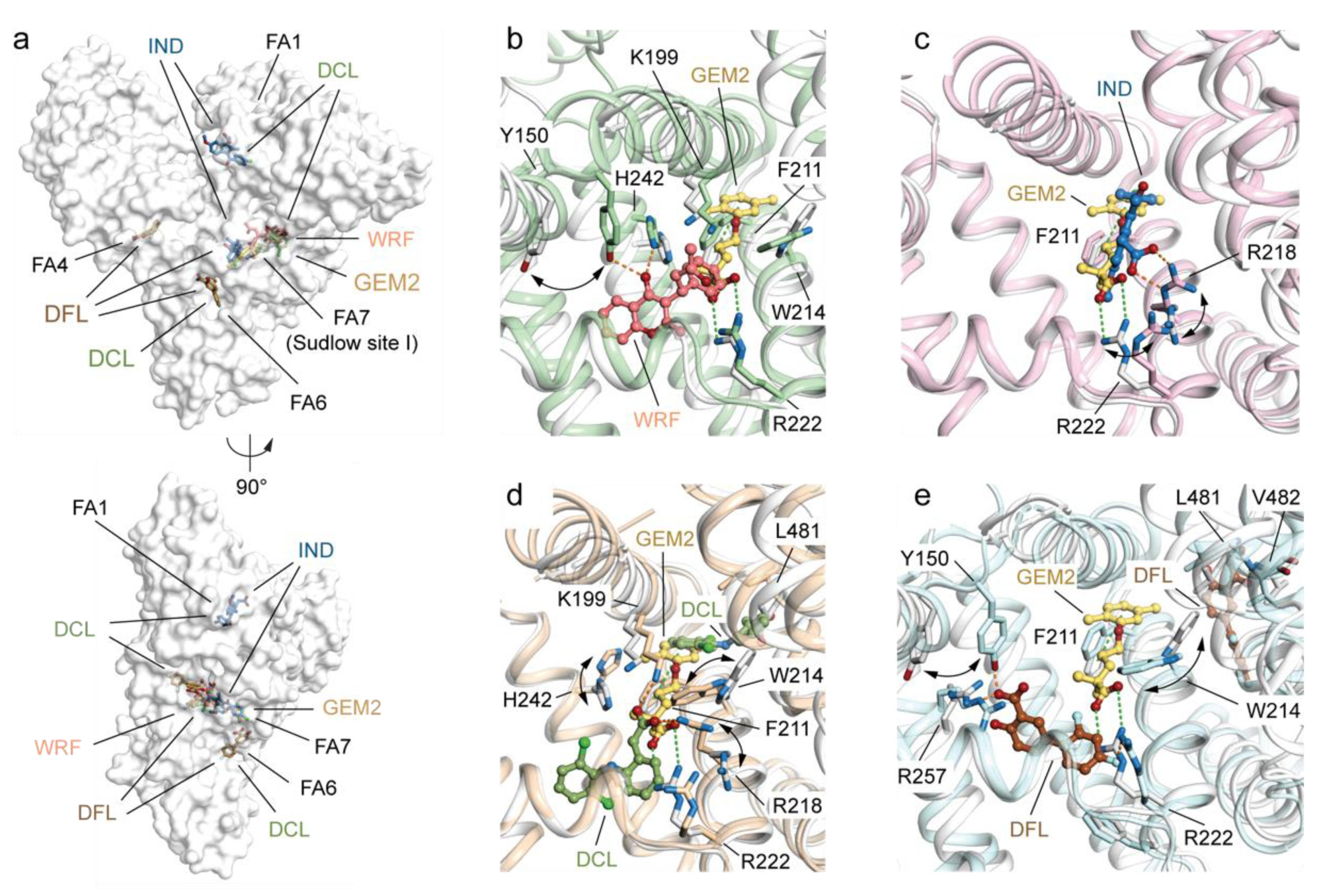 Ijms 23 01769 g005 550