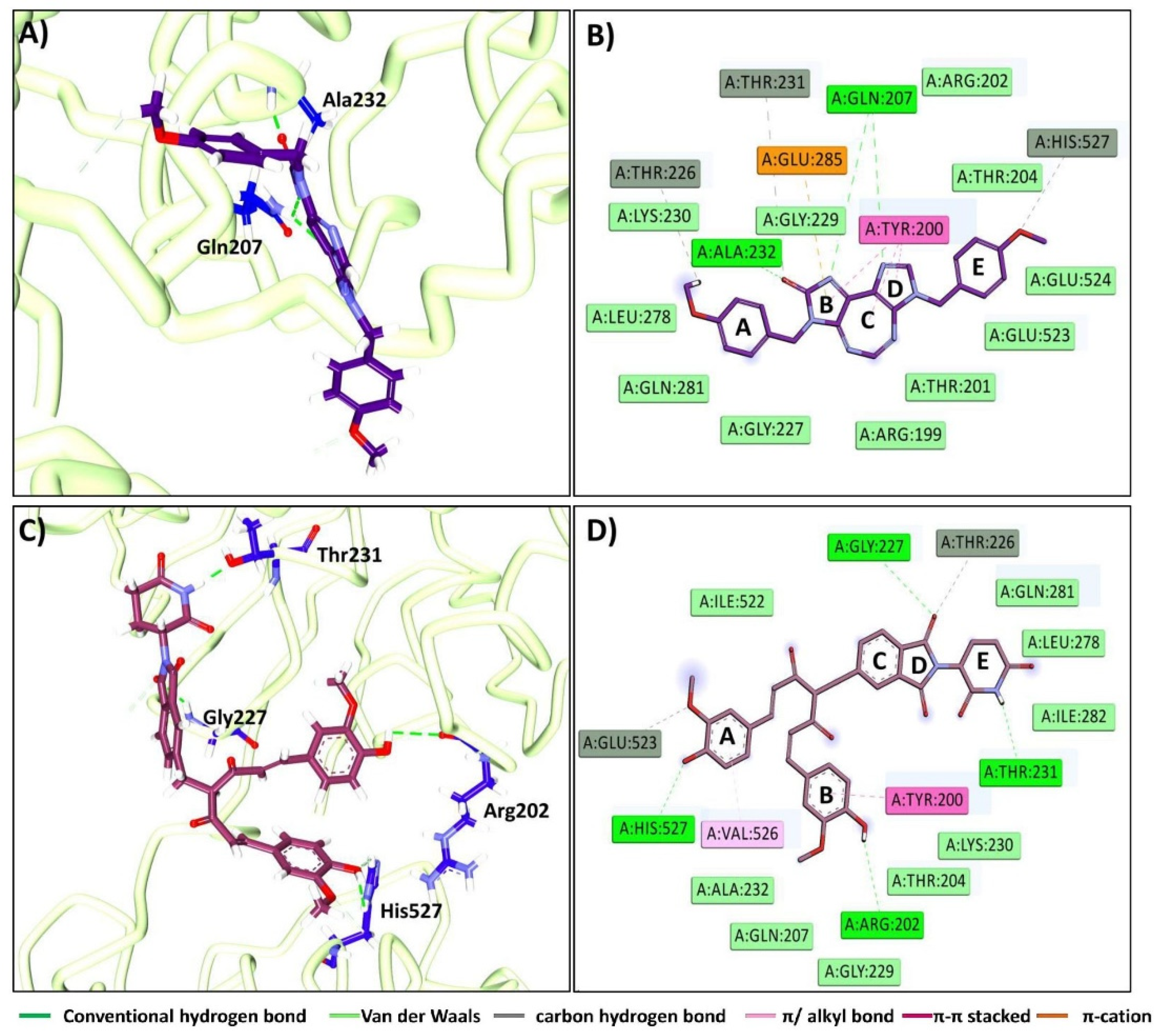 Ijms 23 01771 g011 Ijms 23 01771 g011