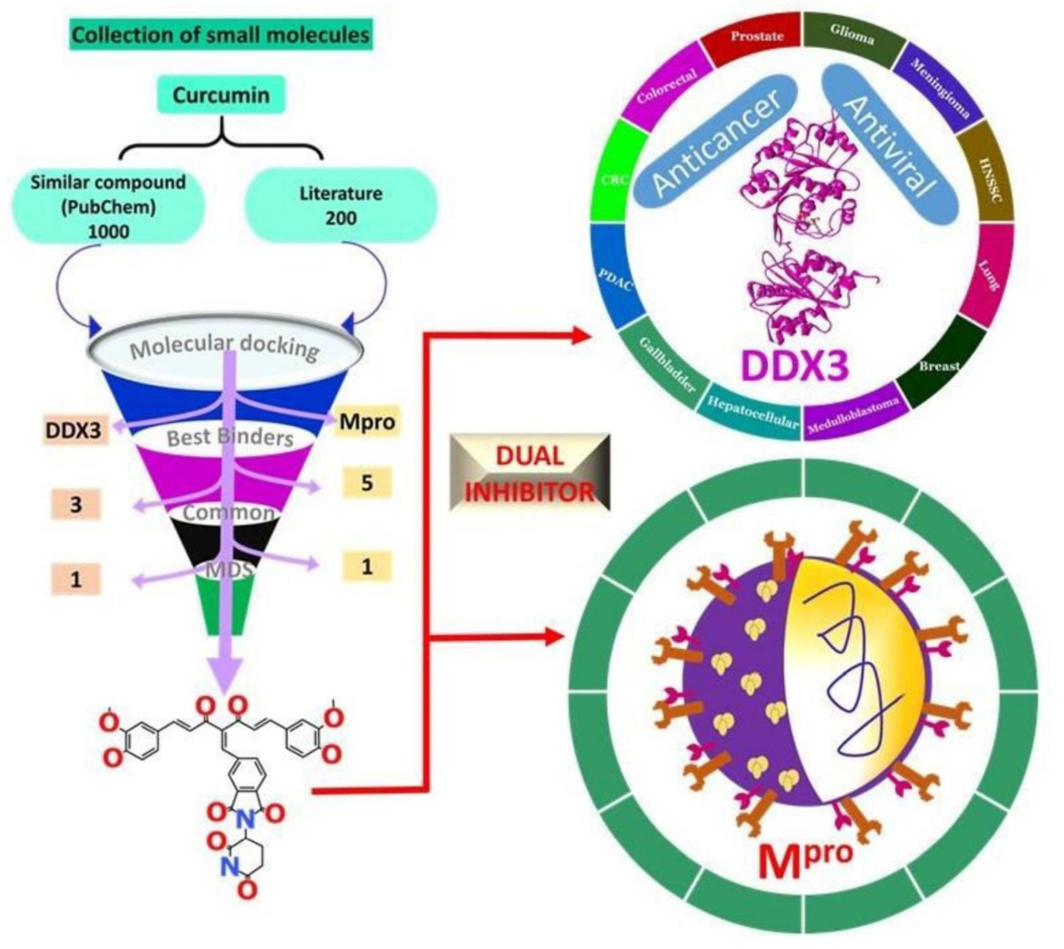 Ijms 23 01771 sch001 Ijms 23 01771 sch001
