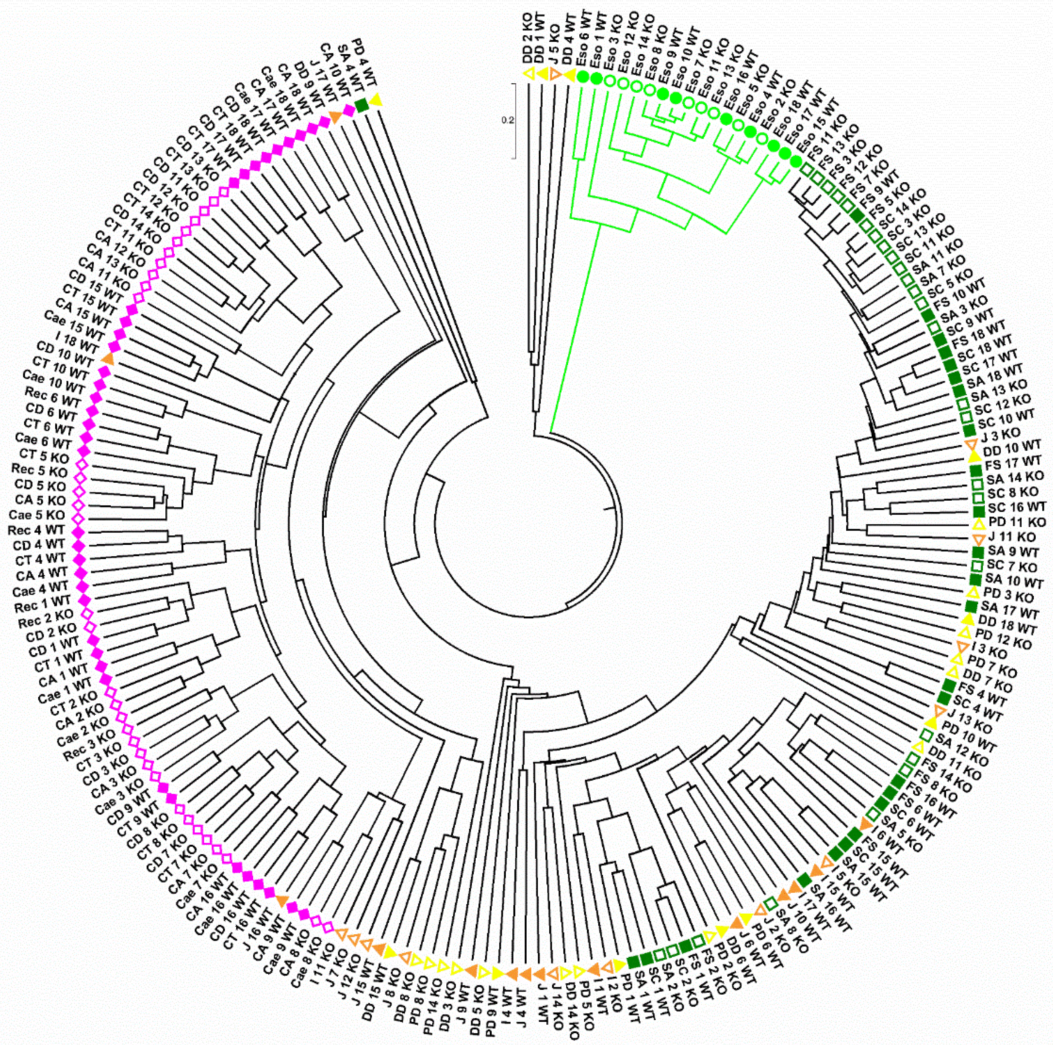 Ijms 23 01783 g004 550