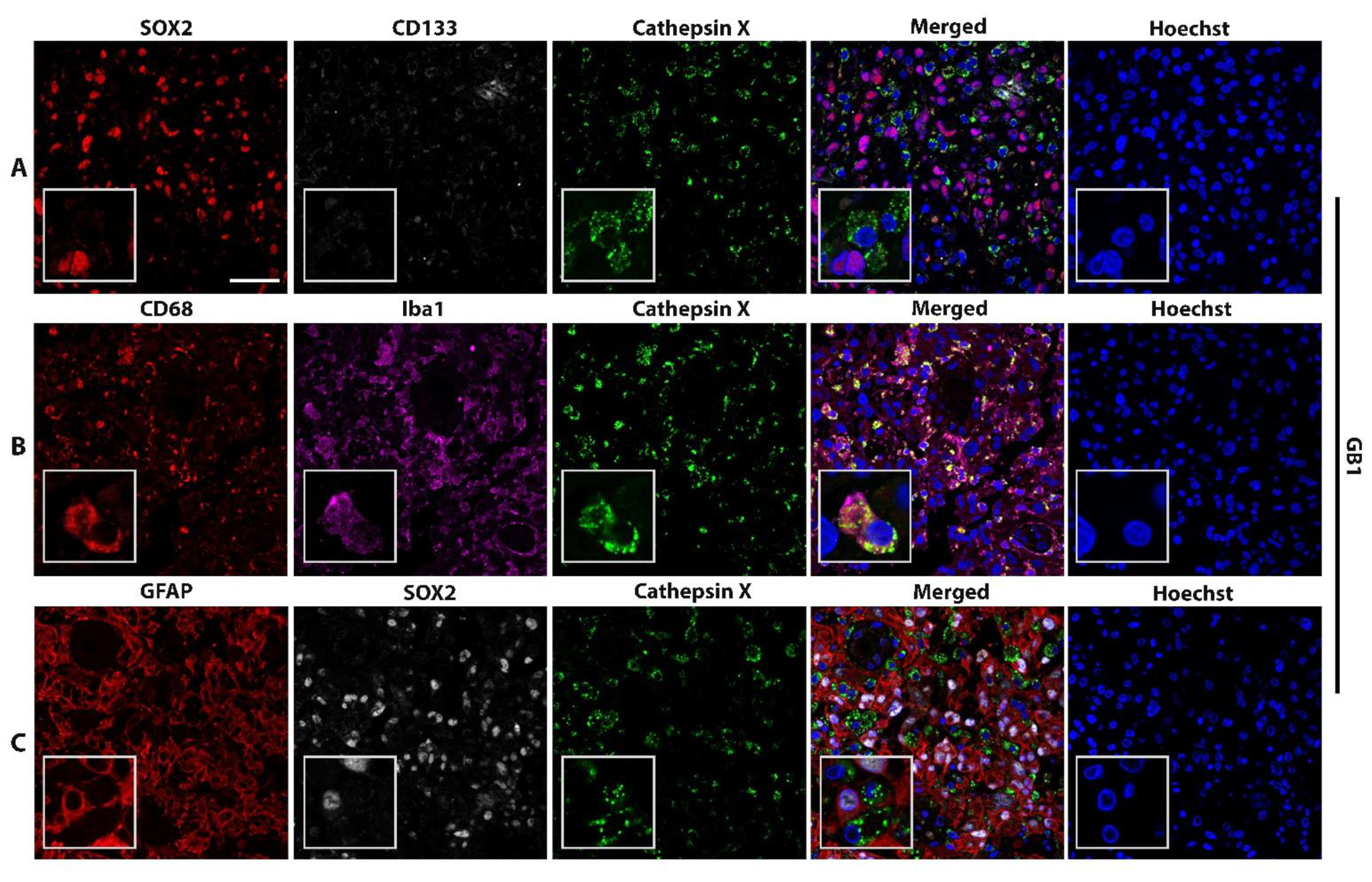 Ijms 23 01784 g002 550