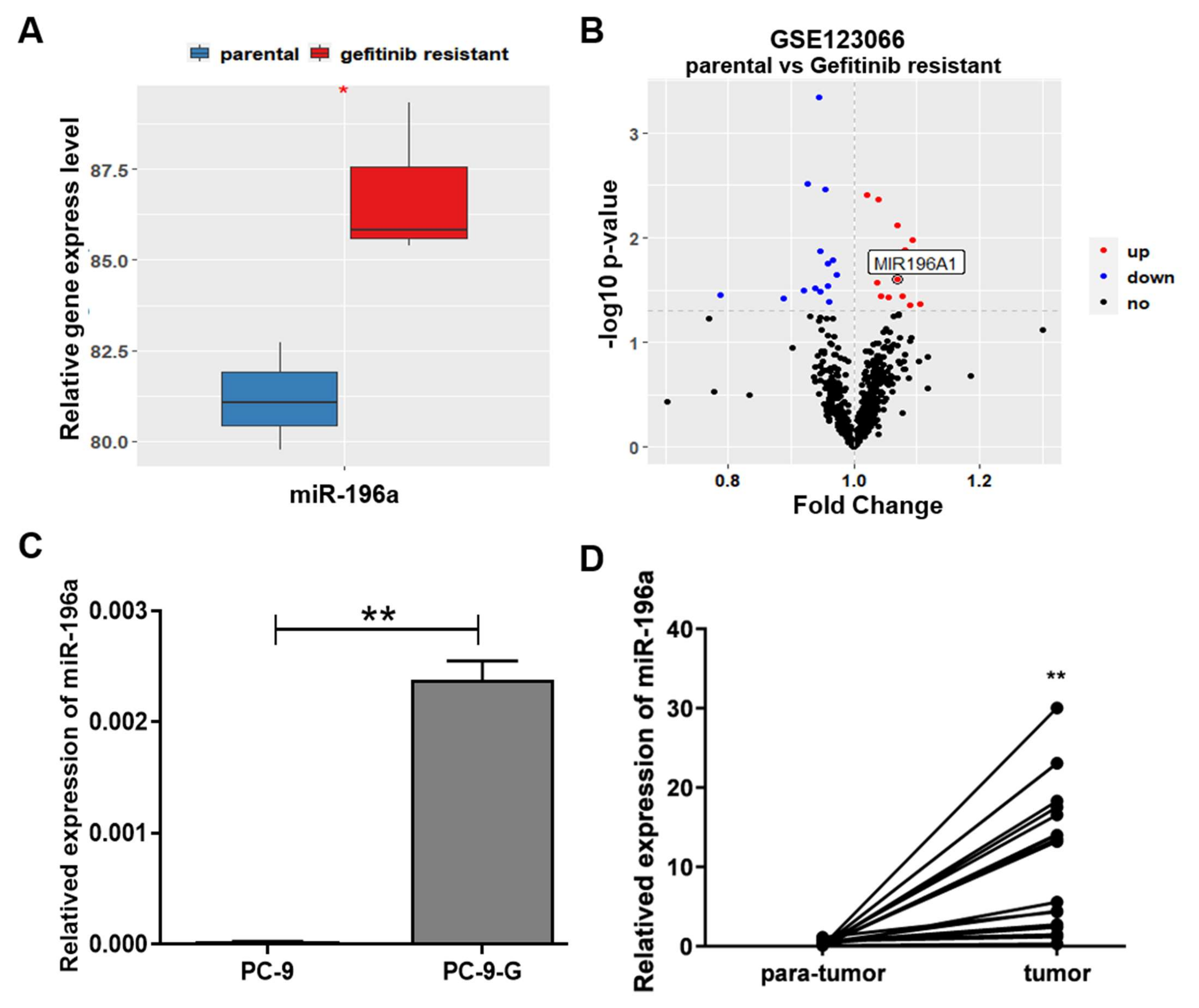 Ijms 23 01785 g001 Ijms 23 01785 g001
