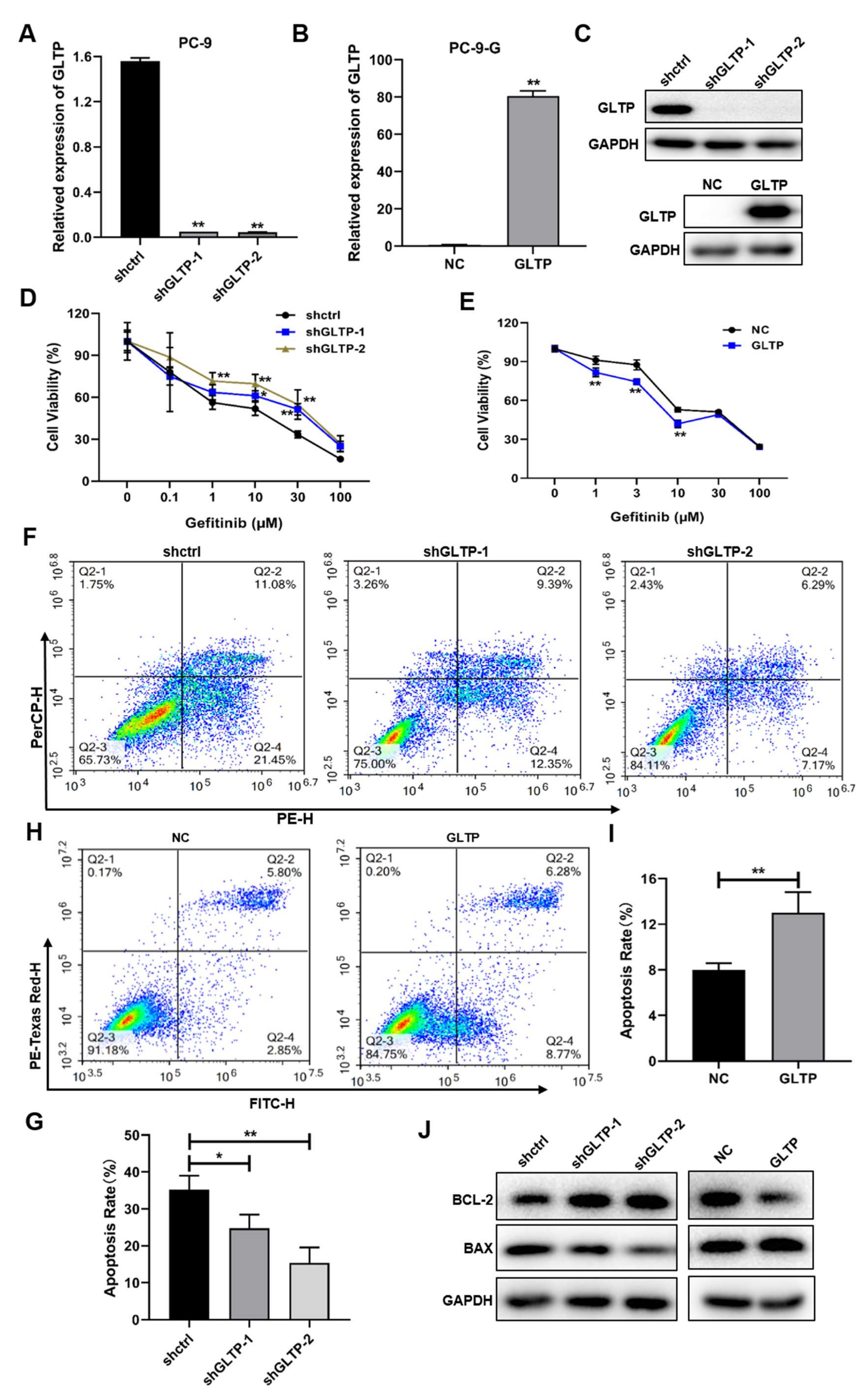 Ijms 23 01785 g005 Ijms 23 01785 g005