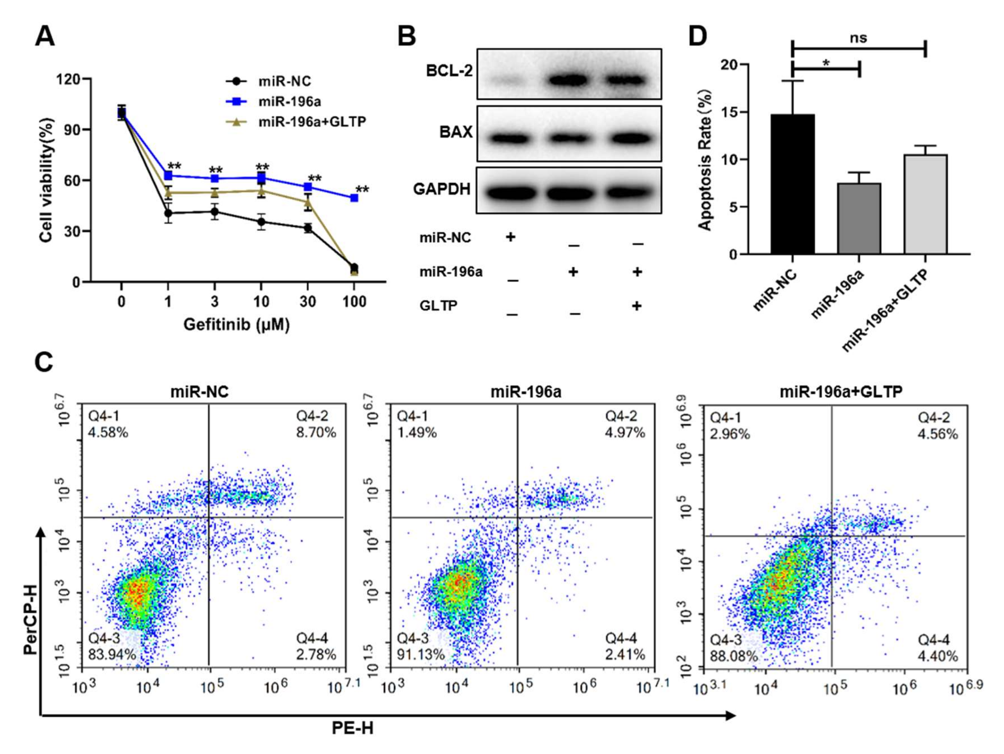Ijms 23 01785 g006 Ijms 23 01785 g006