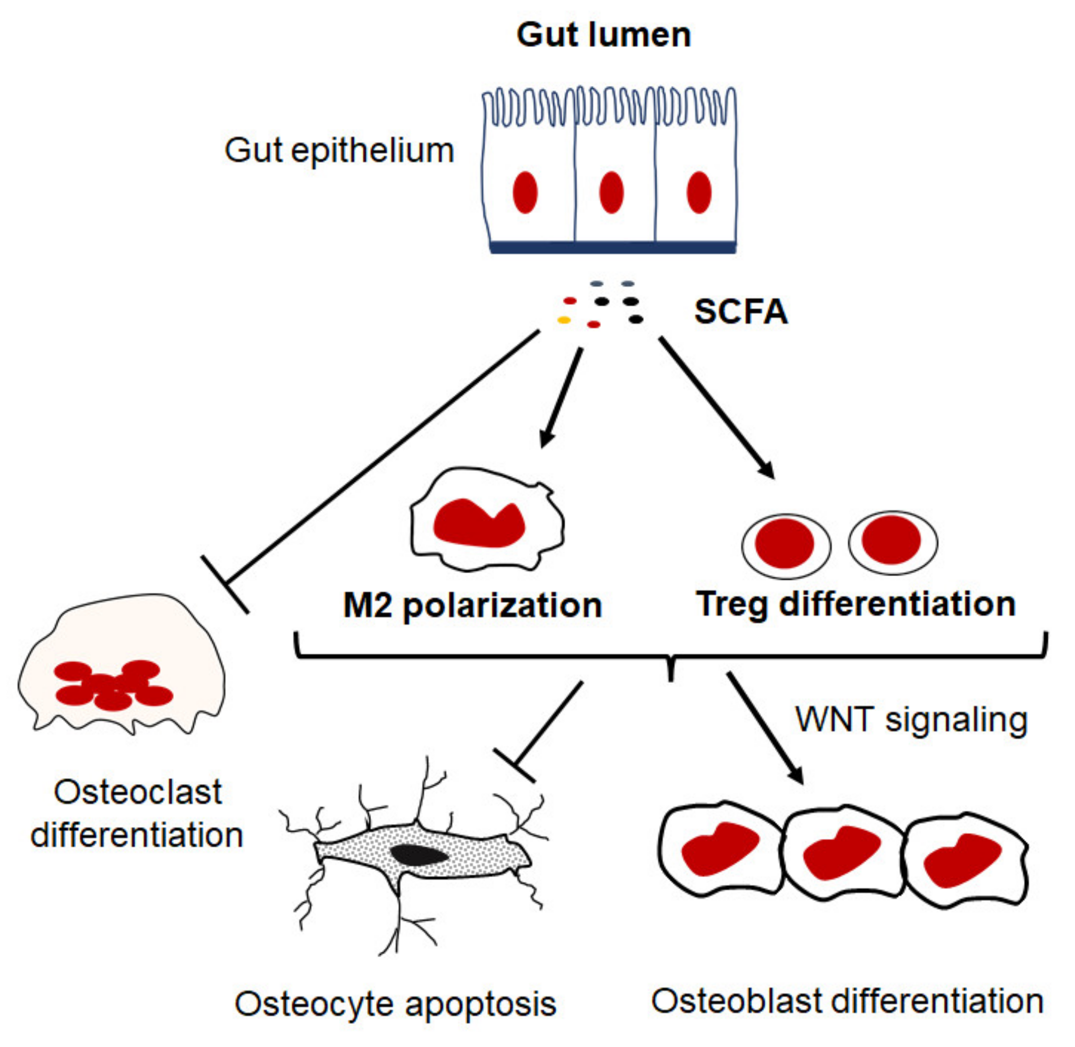 Ijms 23 01786 g004 Ijms 23 01786 g004