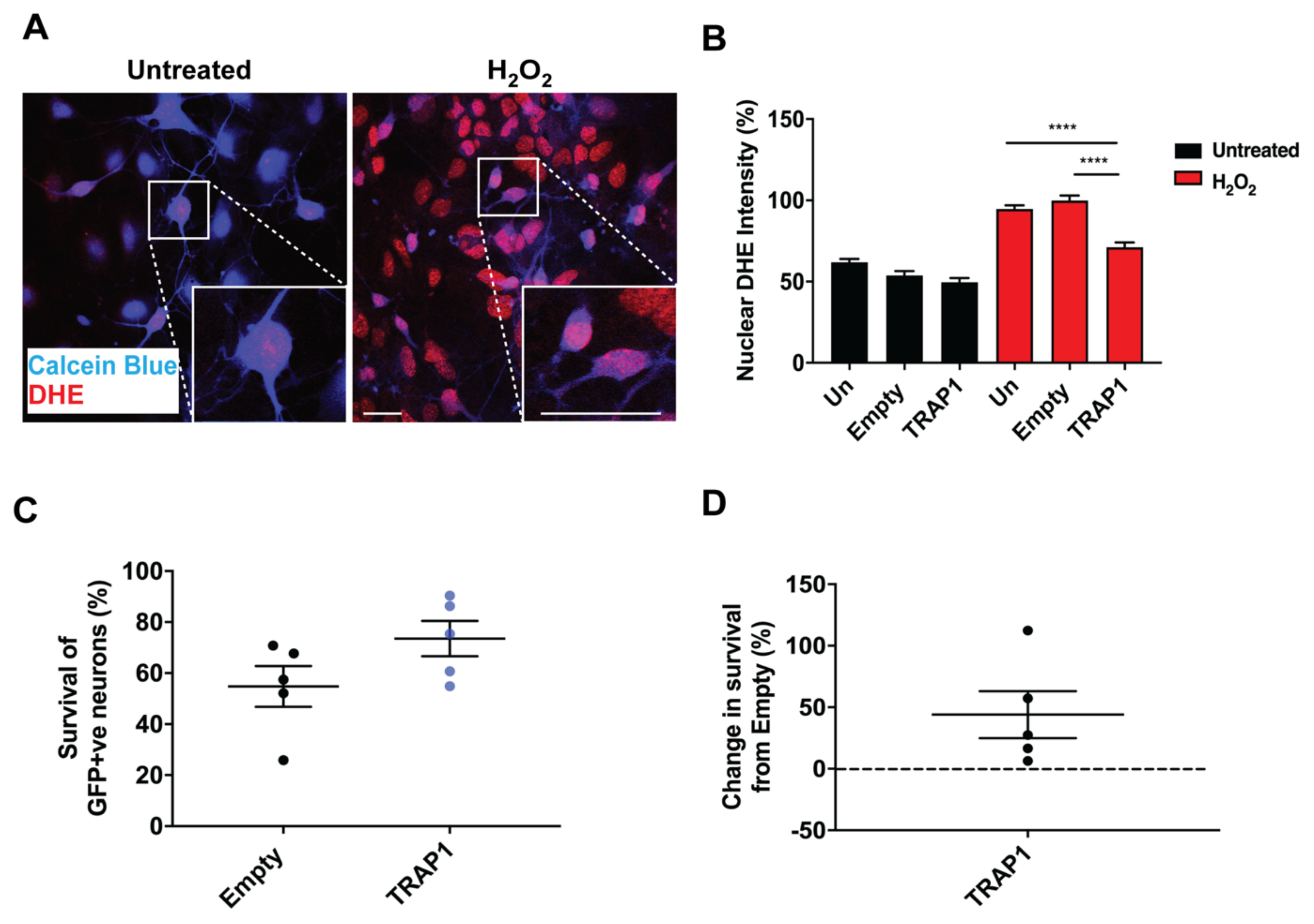 Ijms 23 01789 g002 Ijms 23 01789 g002