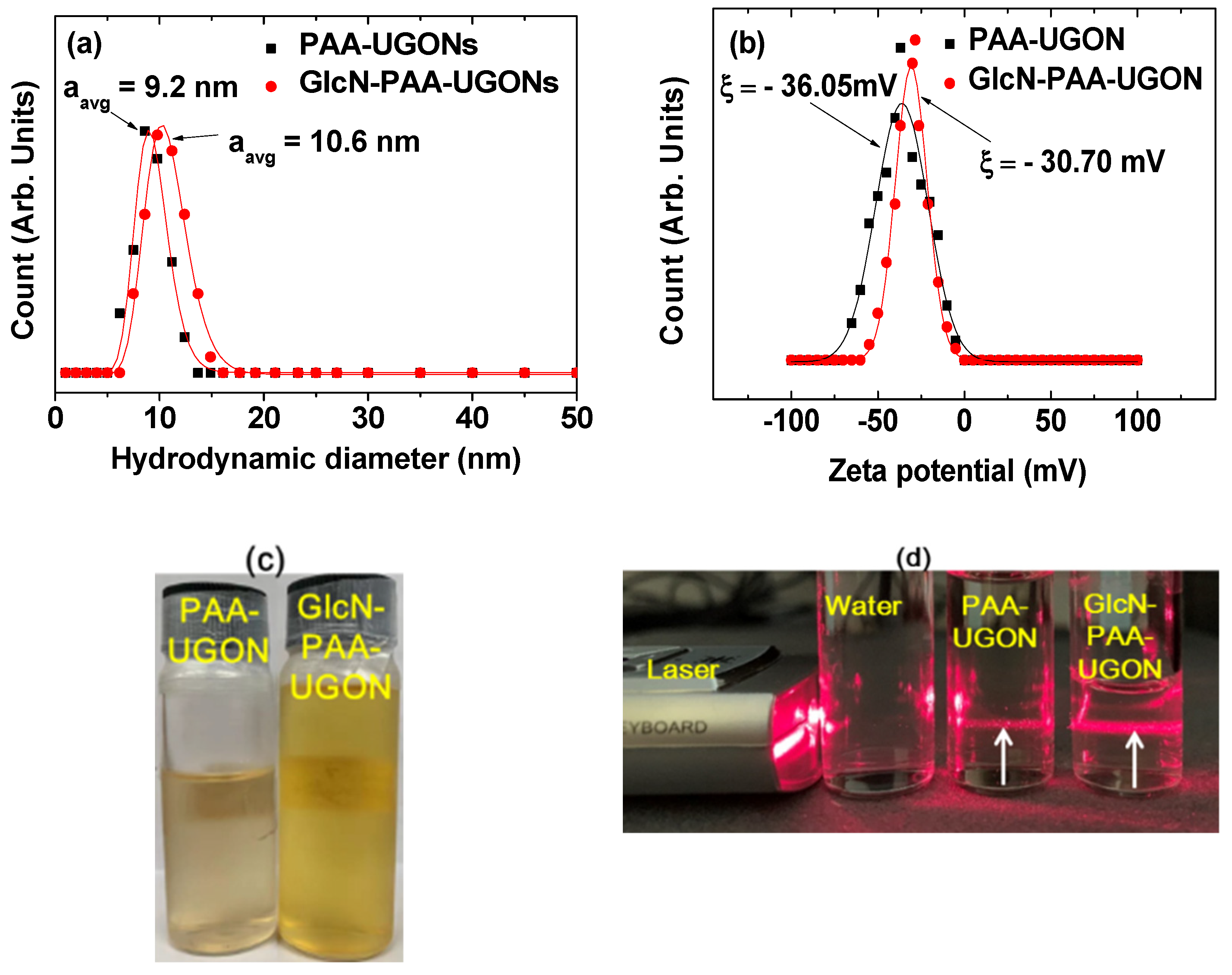 Ijms 23 01792 g002 Ijms 23 01792 g002