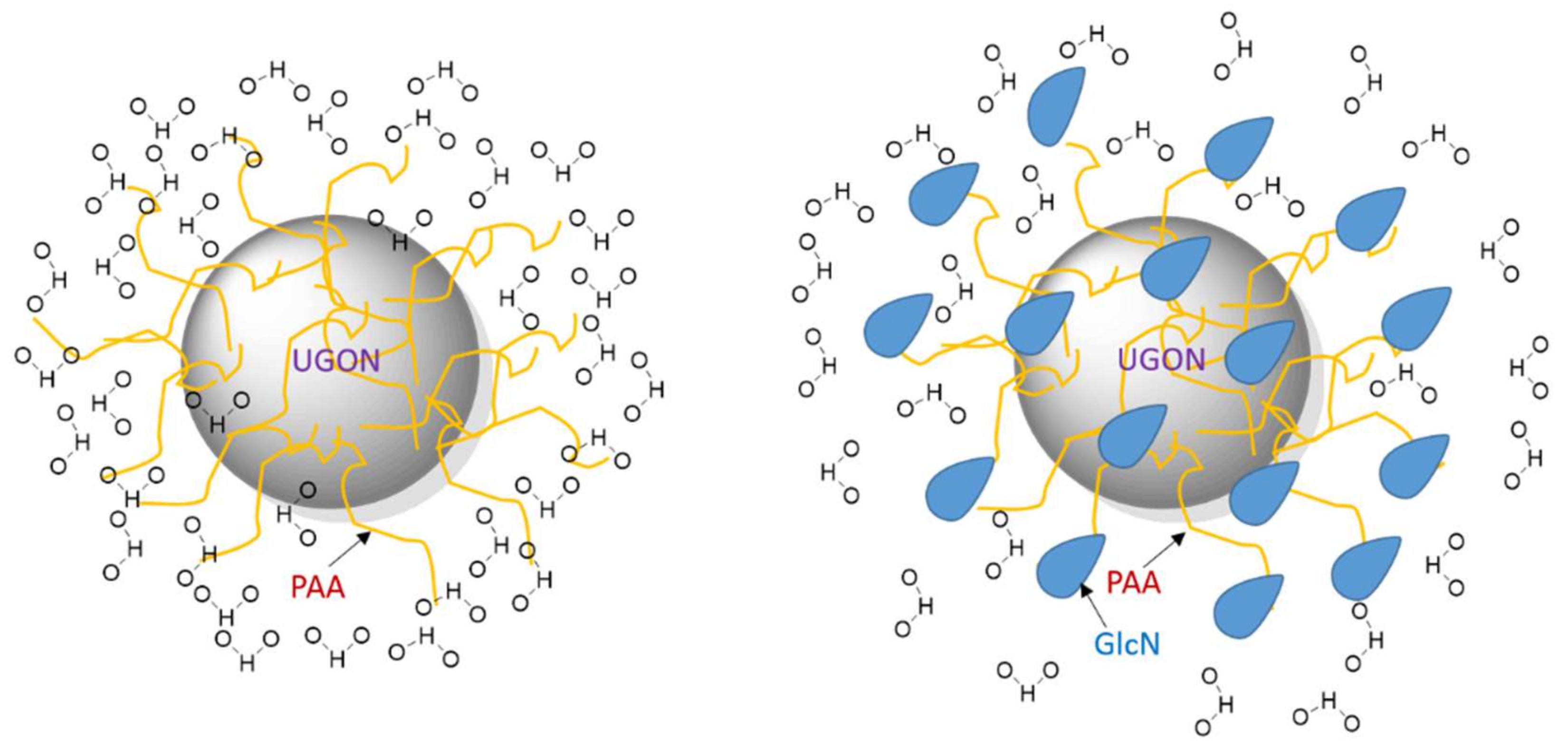 Ijms 23 01792 g009 Ijms 23 01792 g009