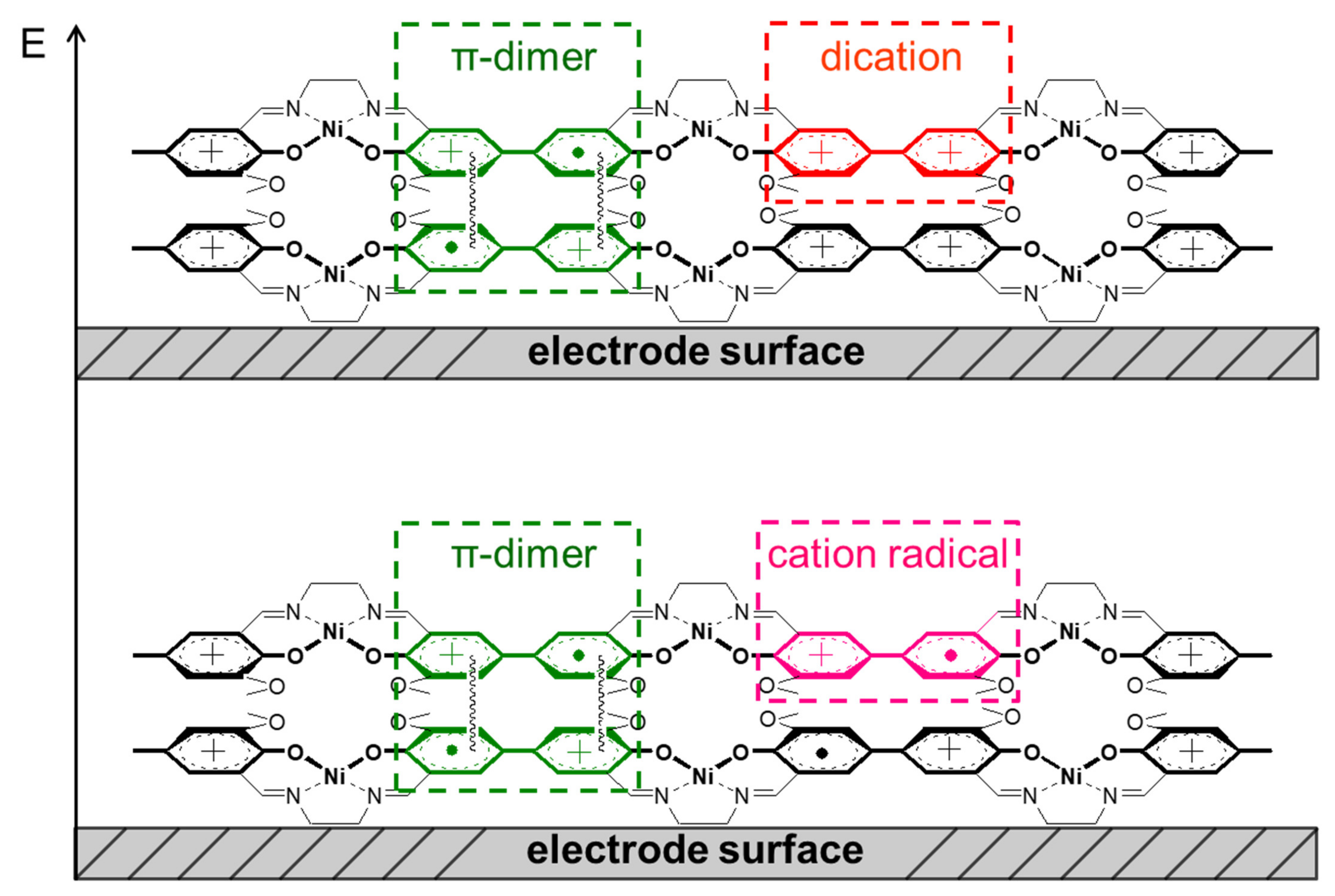 Ijms 23 01795 sch004 Ijms 23 01795 sch004