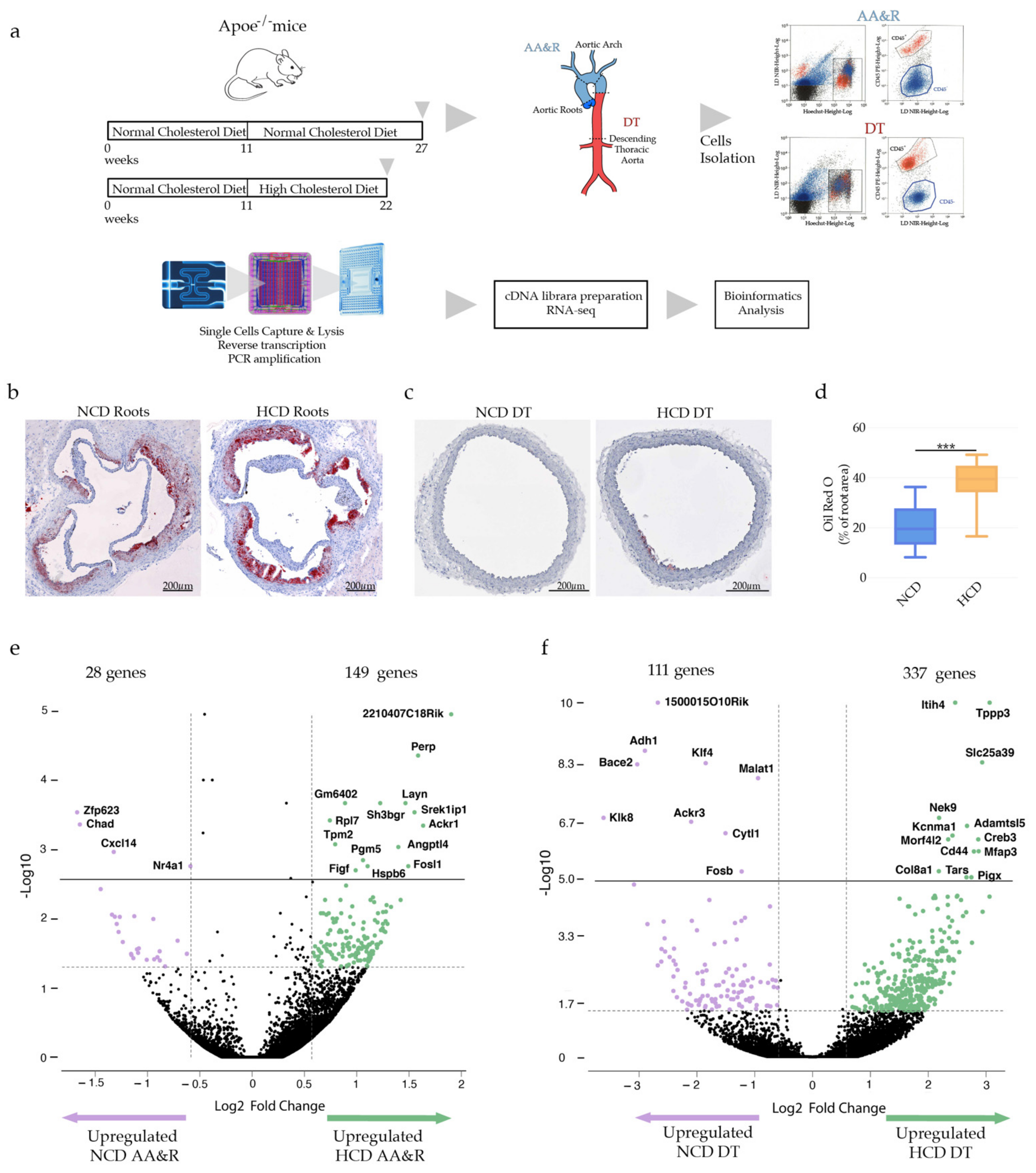 Ijms 23 01796 g001 Ijms 23 01796 g001