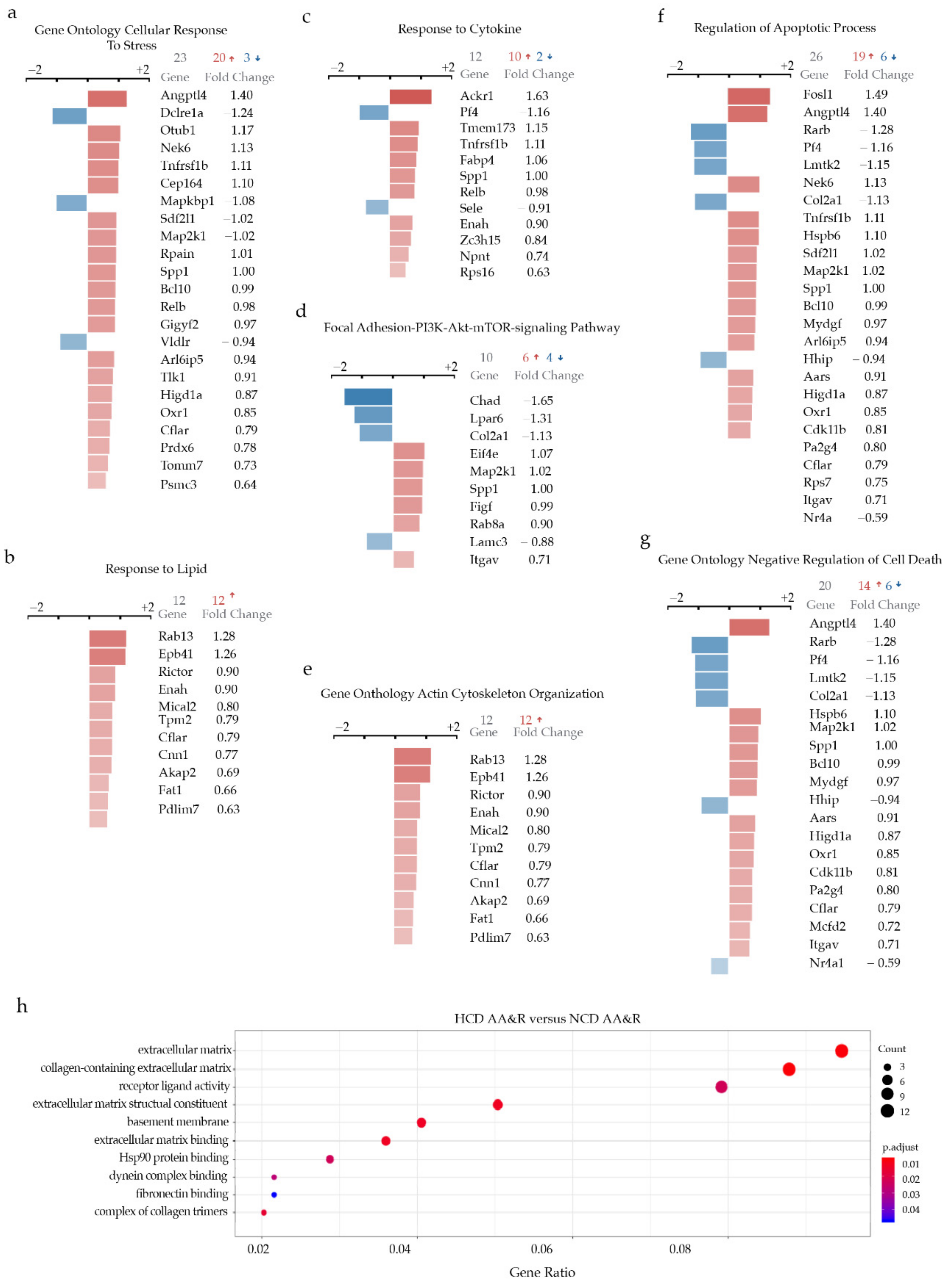 Ijms 23 01796 g002 Ijms 23 01796 g002